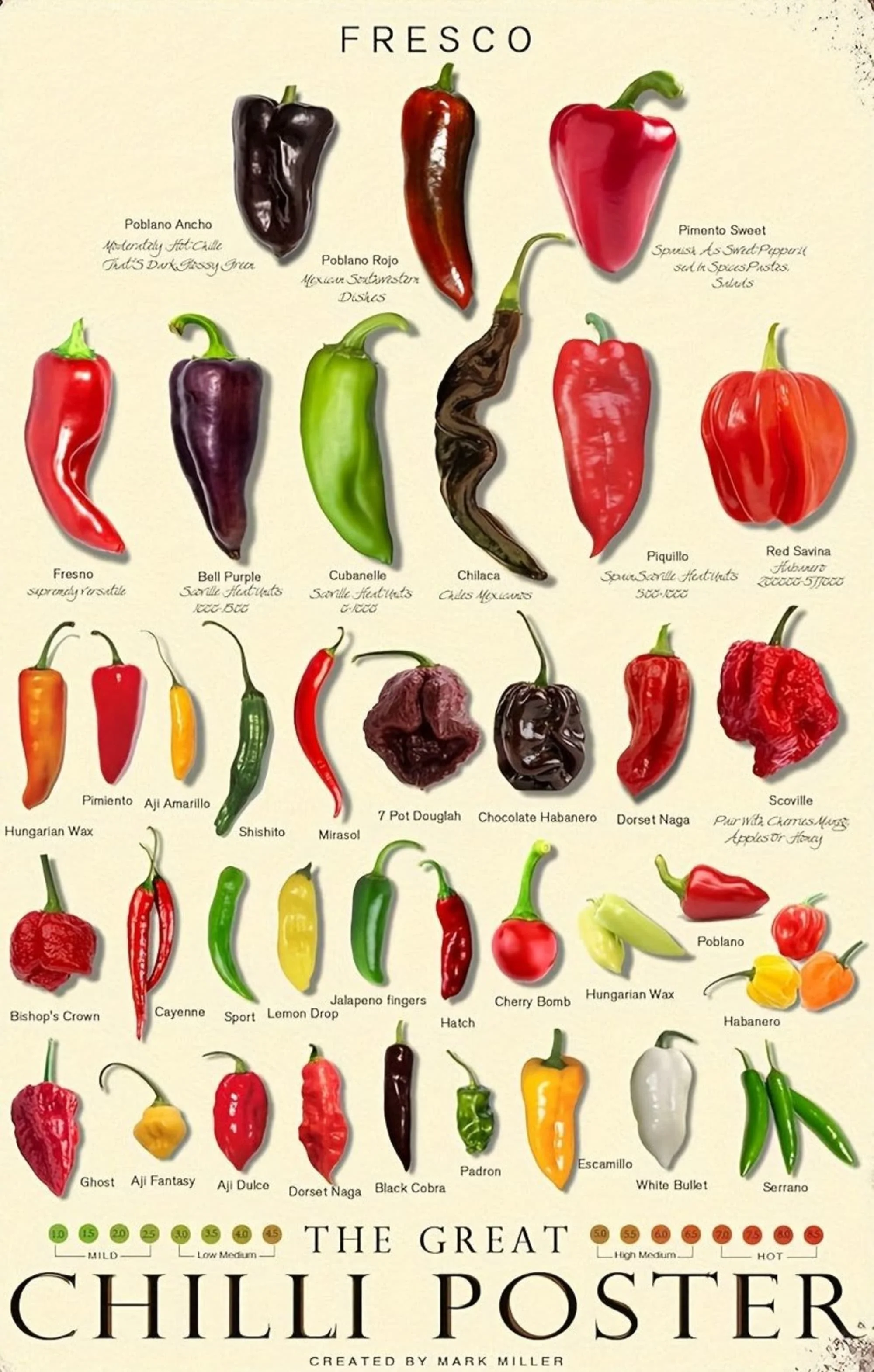 Vintage Kitchen | Kinds of Pepper | Chili - Image 4