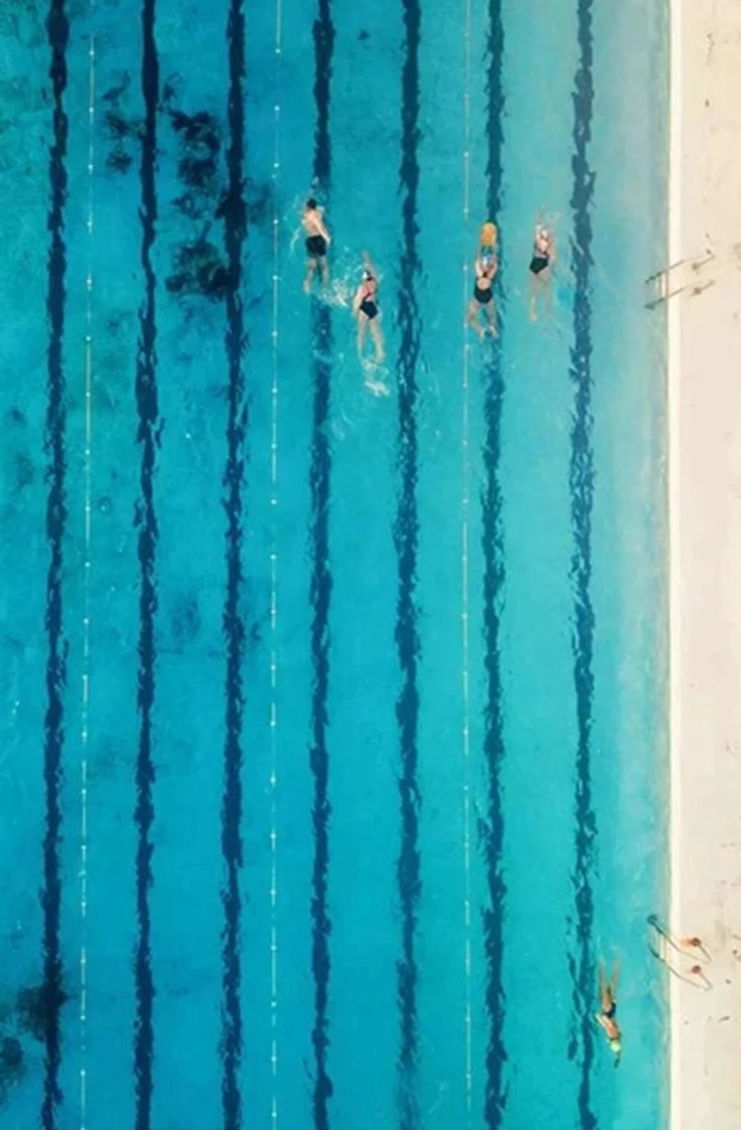 Poolside Escapes | Serene Modern Art - Image 4