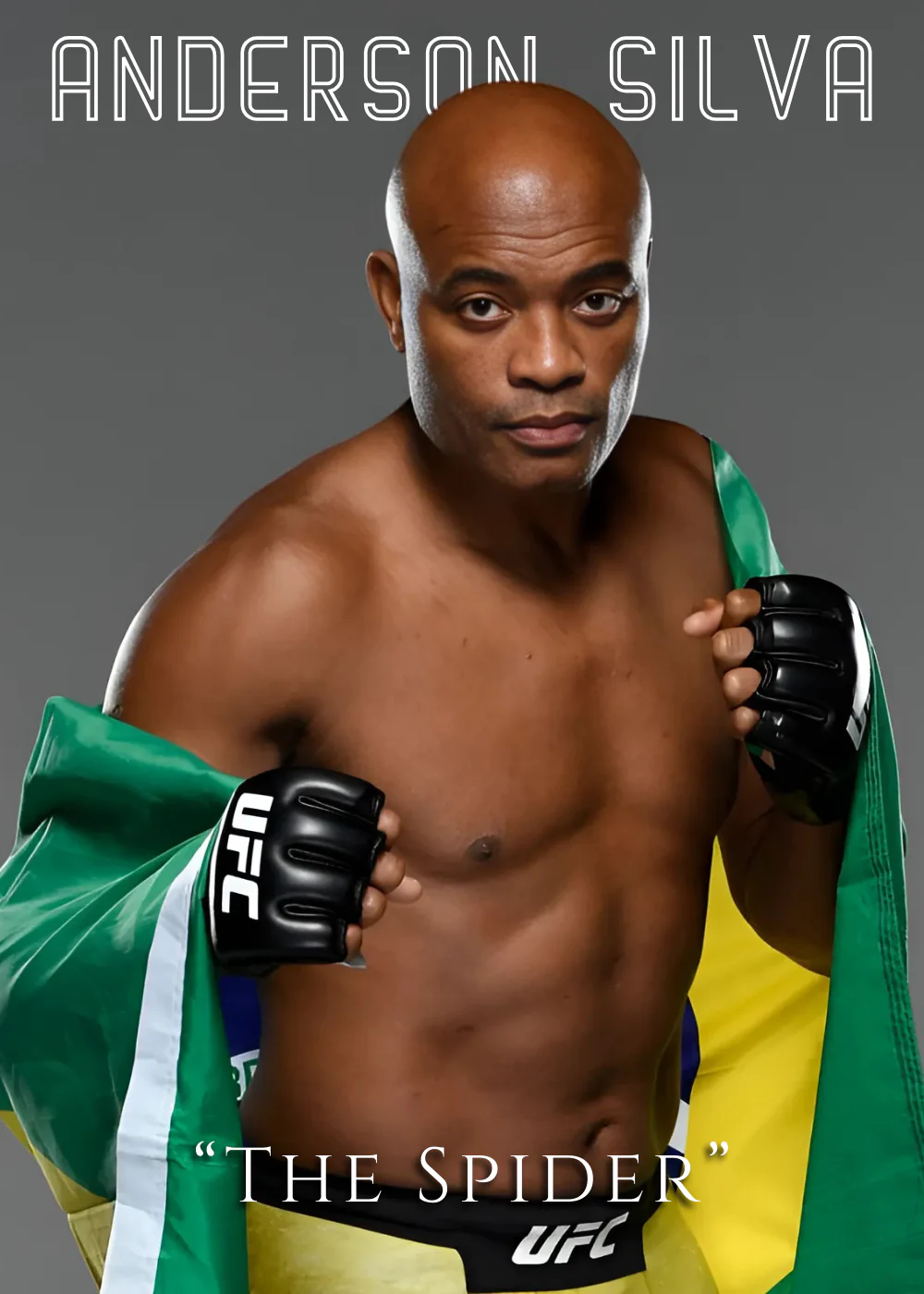 Anderson Silva 'The Spider' UFC Legend - Image 2