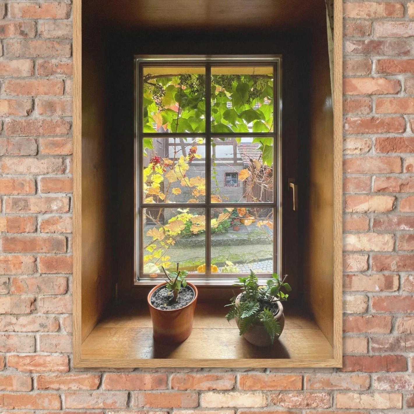 Herbstfenster Margersdorf - Image 3