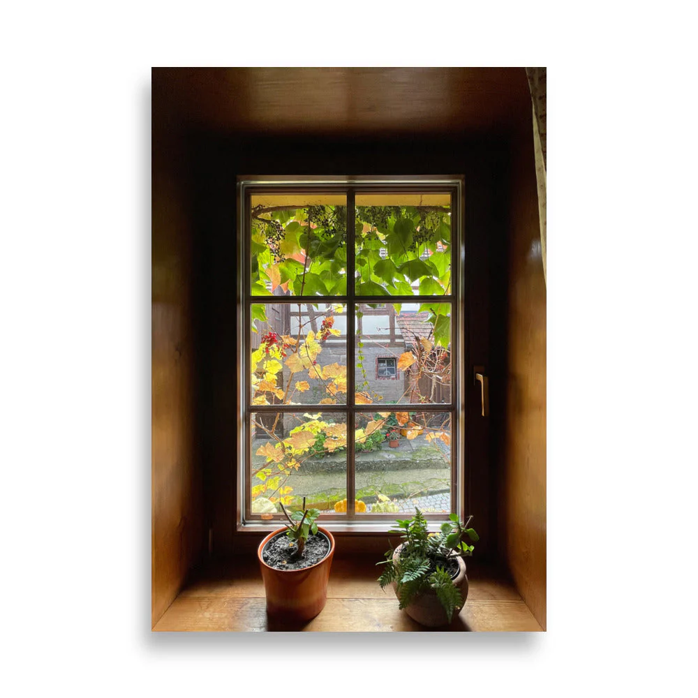 Herbstfenster Margersdorf - Image 4