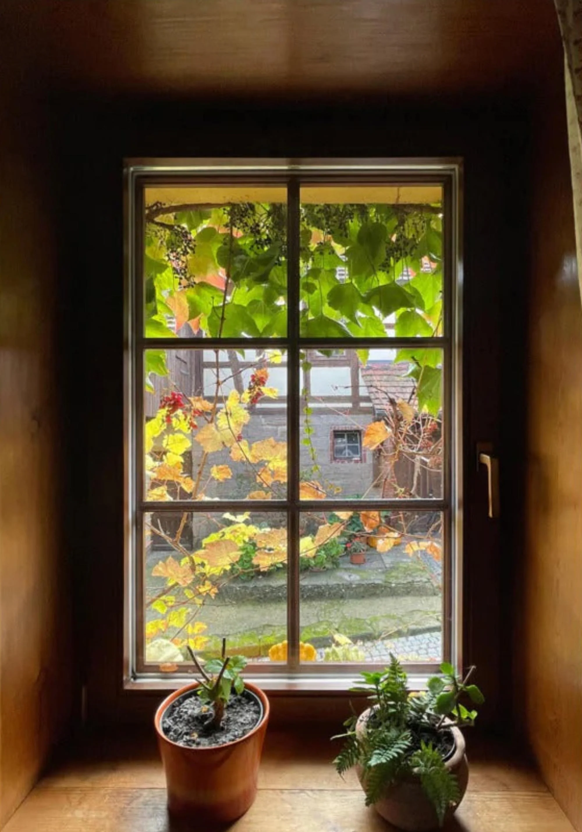 Herbstfenster Margersdorf - Image 7
