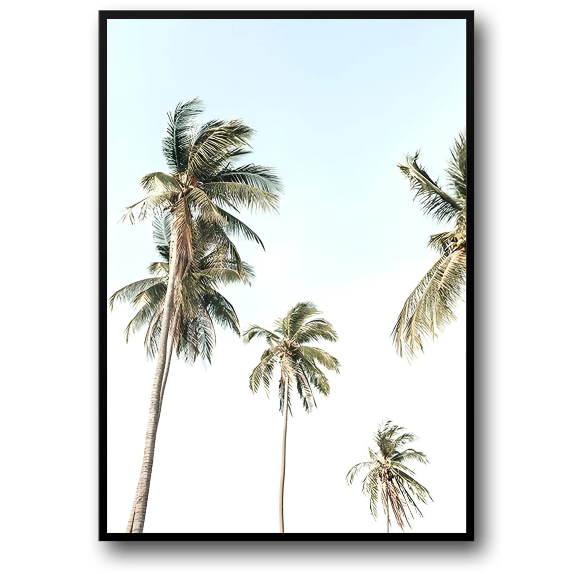 Tropical Beach Sunset | Coastal Landscape
