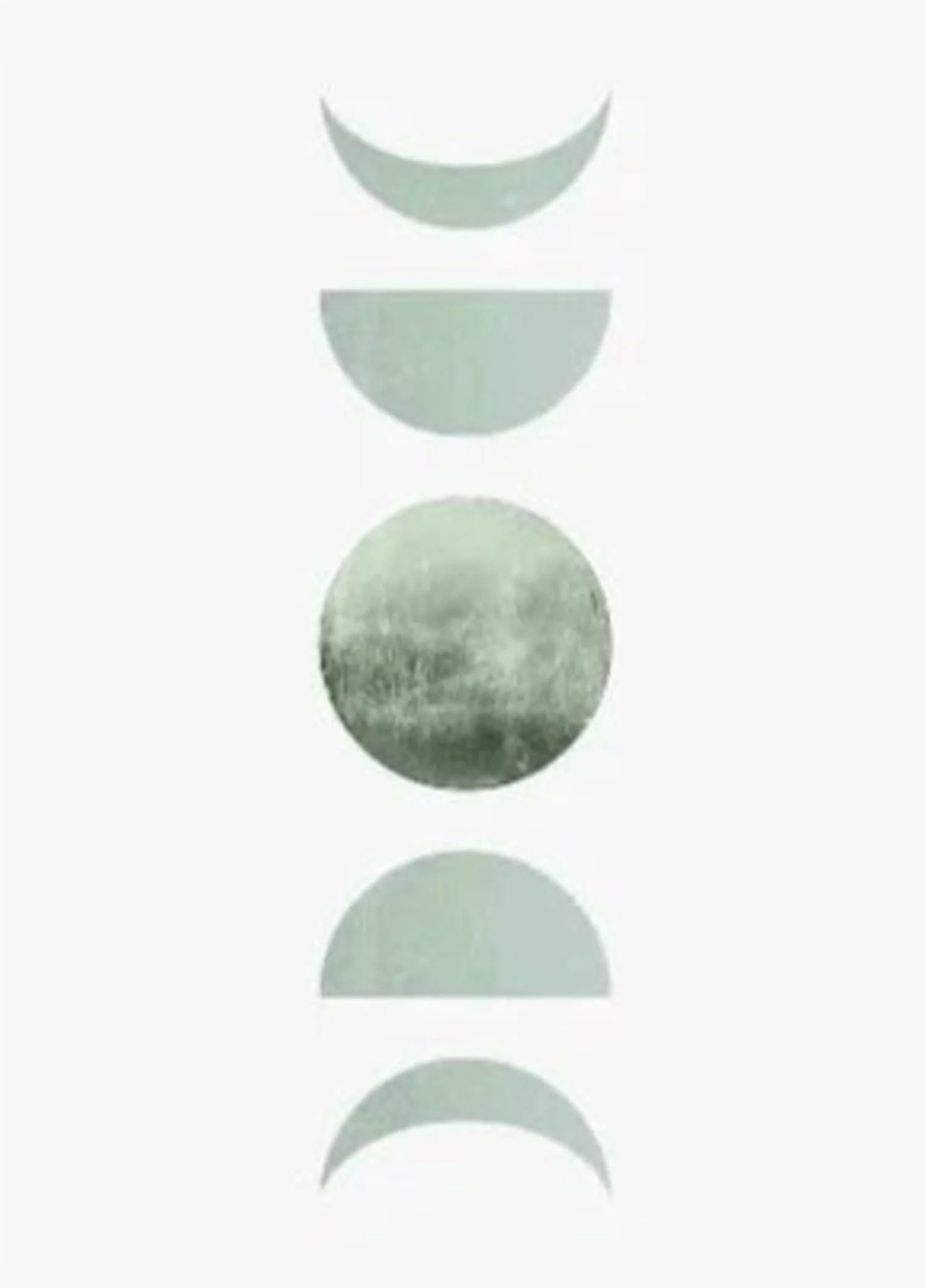 Harmonic Green Botanicals | Modern Nature Art - Image 4