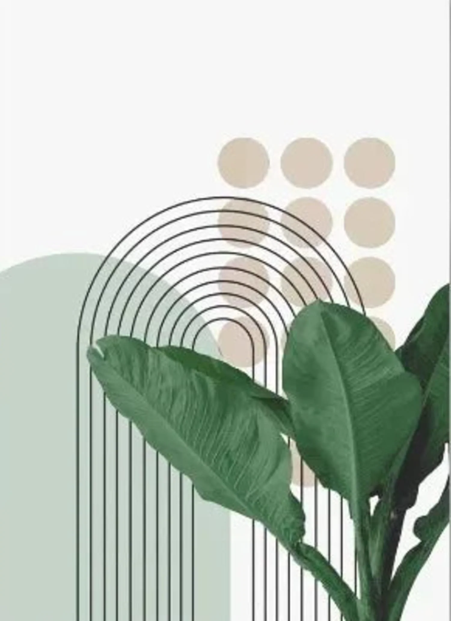 Geometric Floral | Modern Botanical Harmony - Image 4
