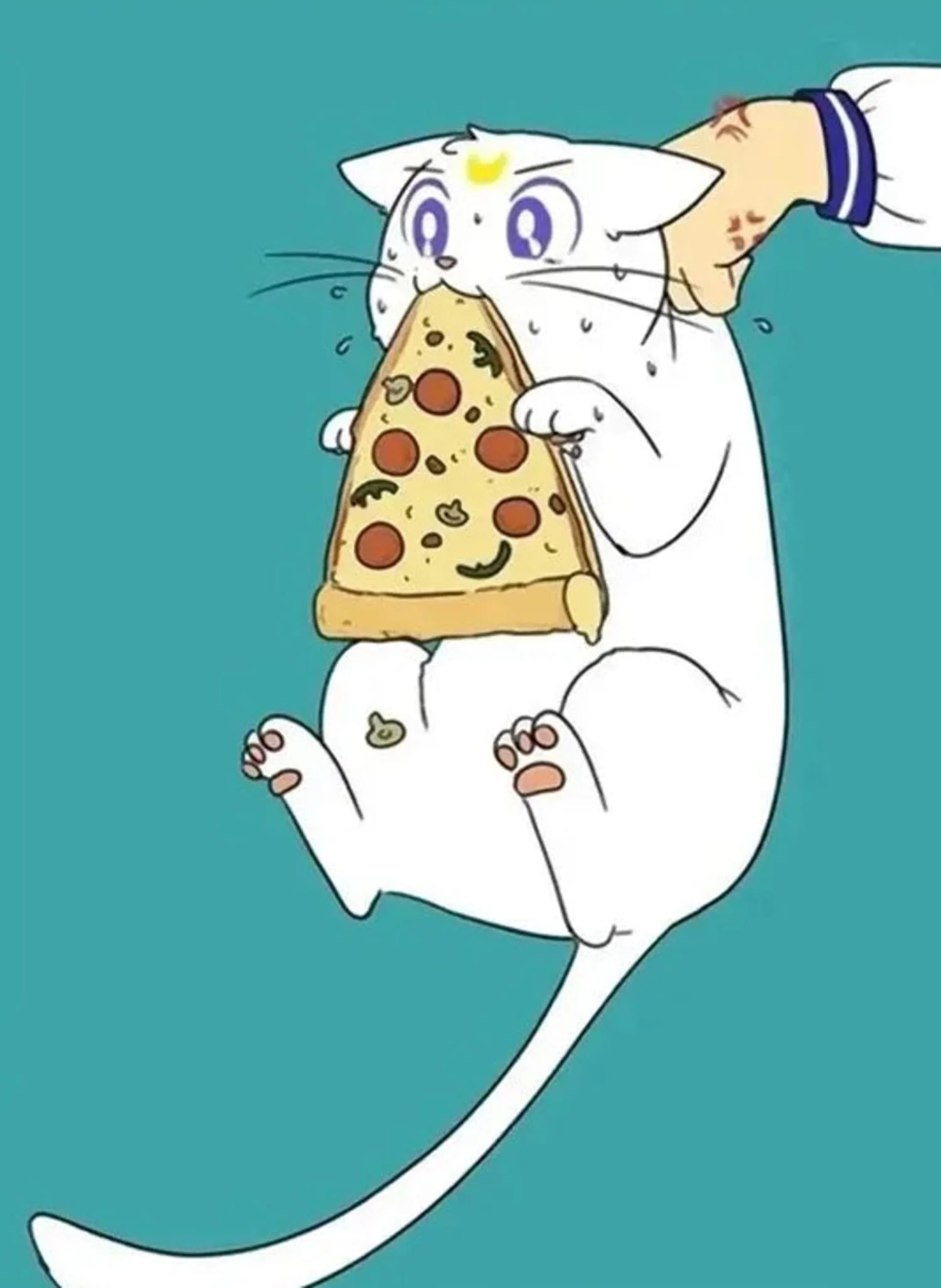 Cute Cat Anime | Pizza Paws Design - Image 4