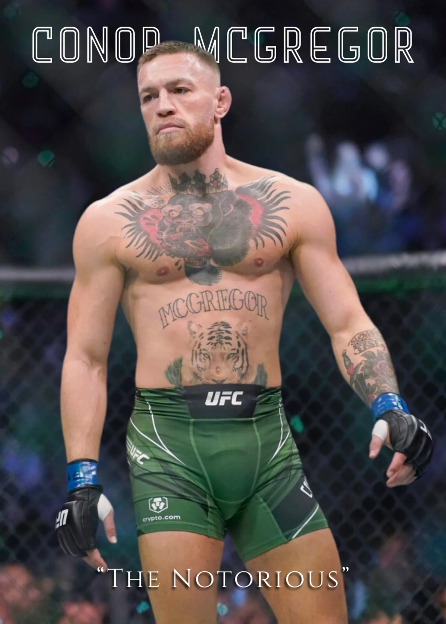 Conor McGregor | The Notorious UFC Fighter - Image 4
