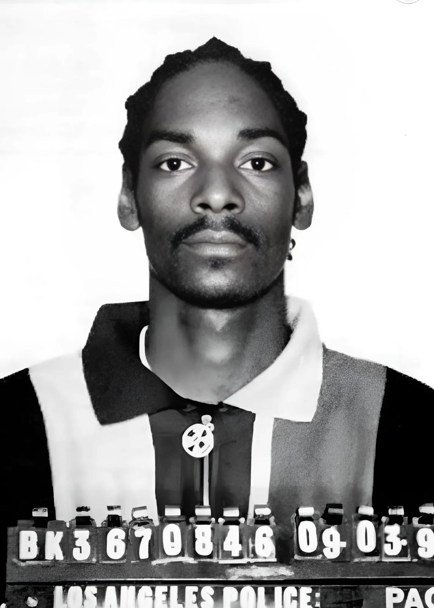 Snoop Dogg Retro Mugshot | Iconic Music Poster - Image 4