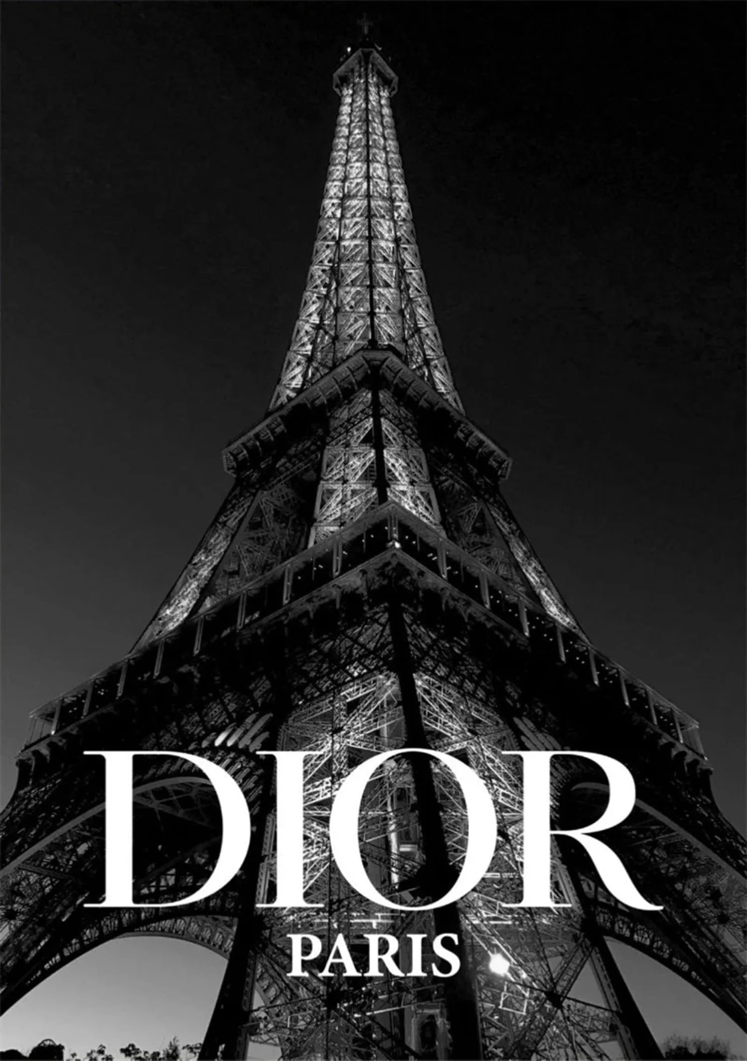 Dior | Paris High Fashion - Image 4