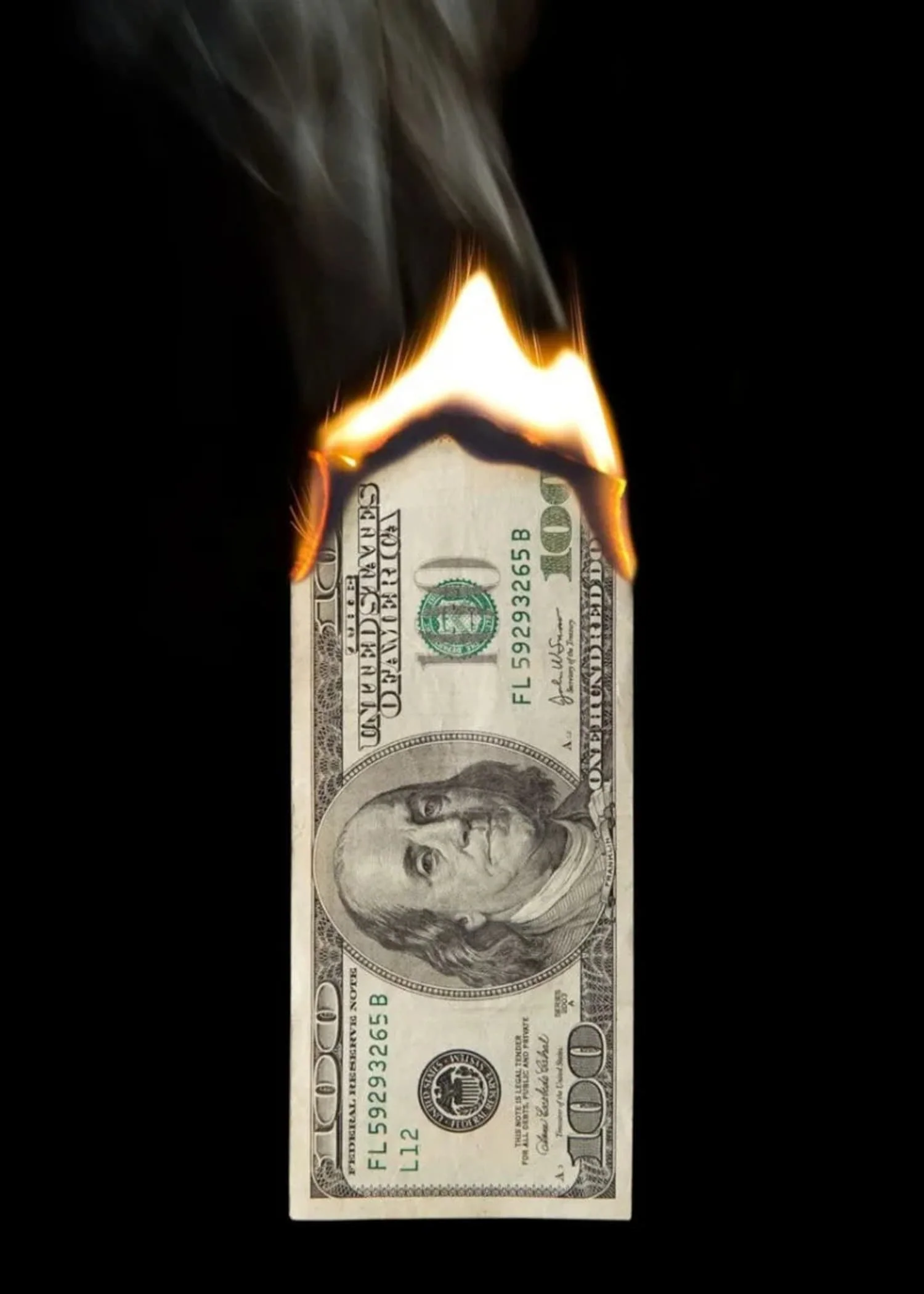 Burning Hundred Dollar Bill Art - Image 4