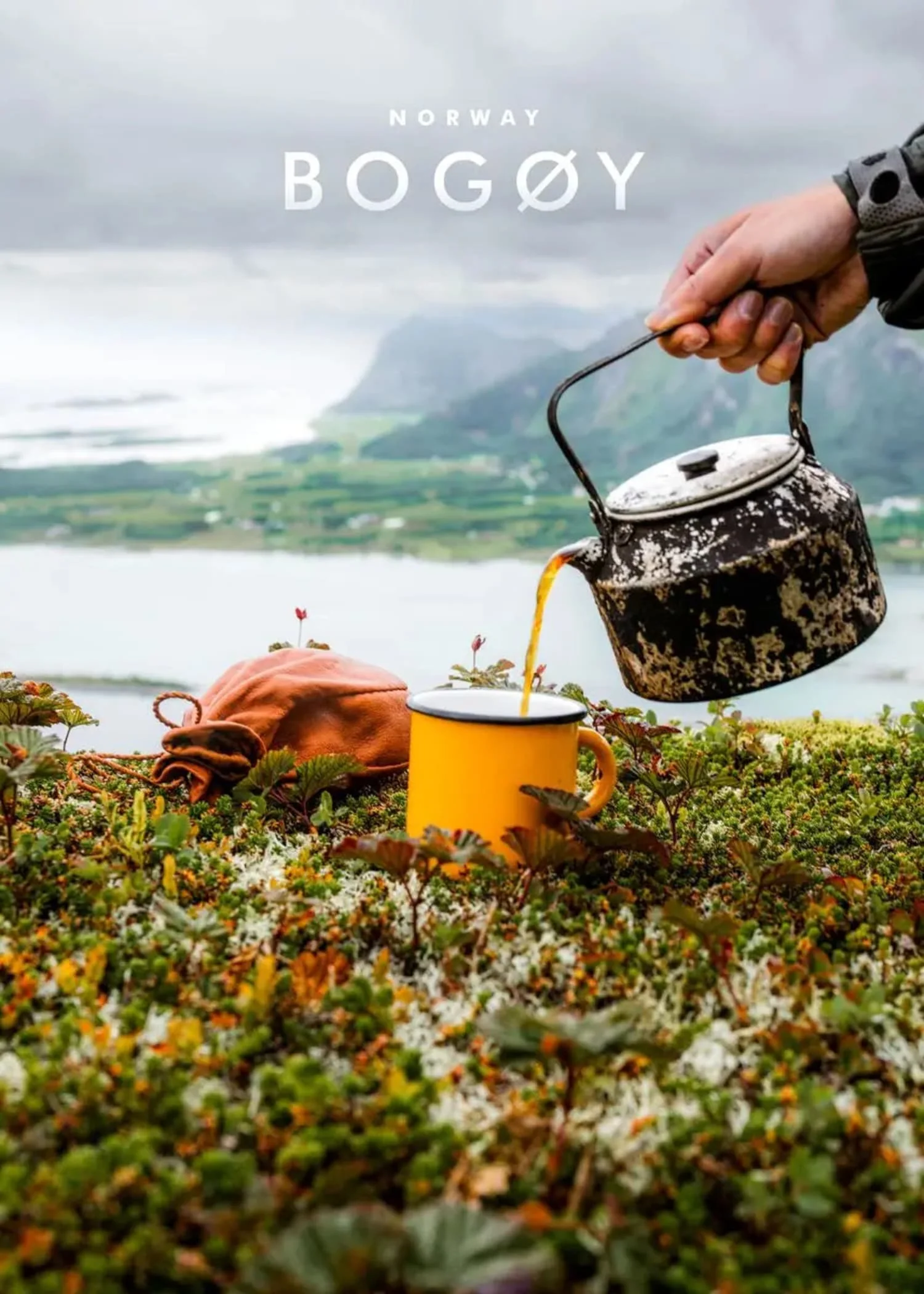 Outdoor Tea Brewing | Norway | Tranquil Nature - Image 4