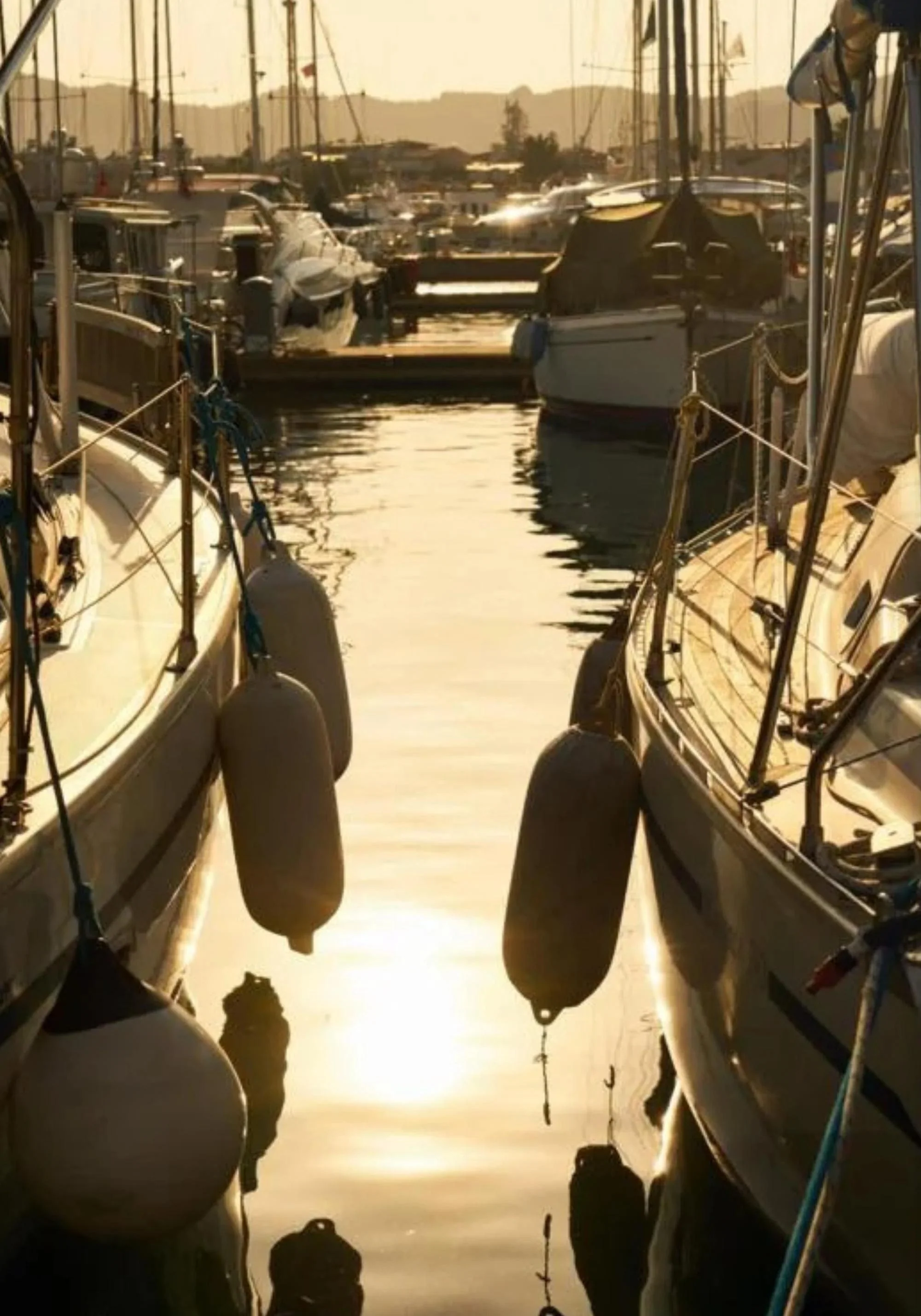 A Summer Evening - Image 2