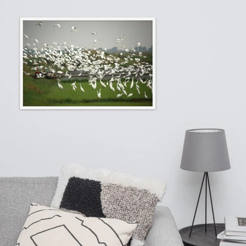 A Flock of Egrets - Image 2