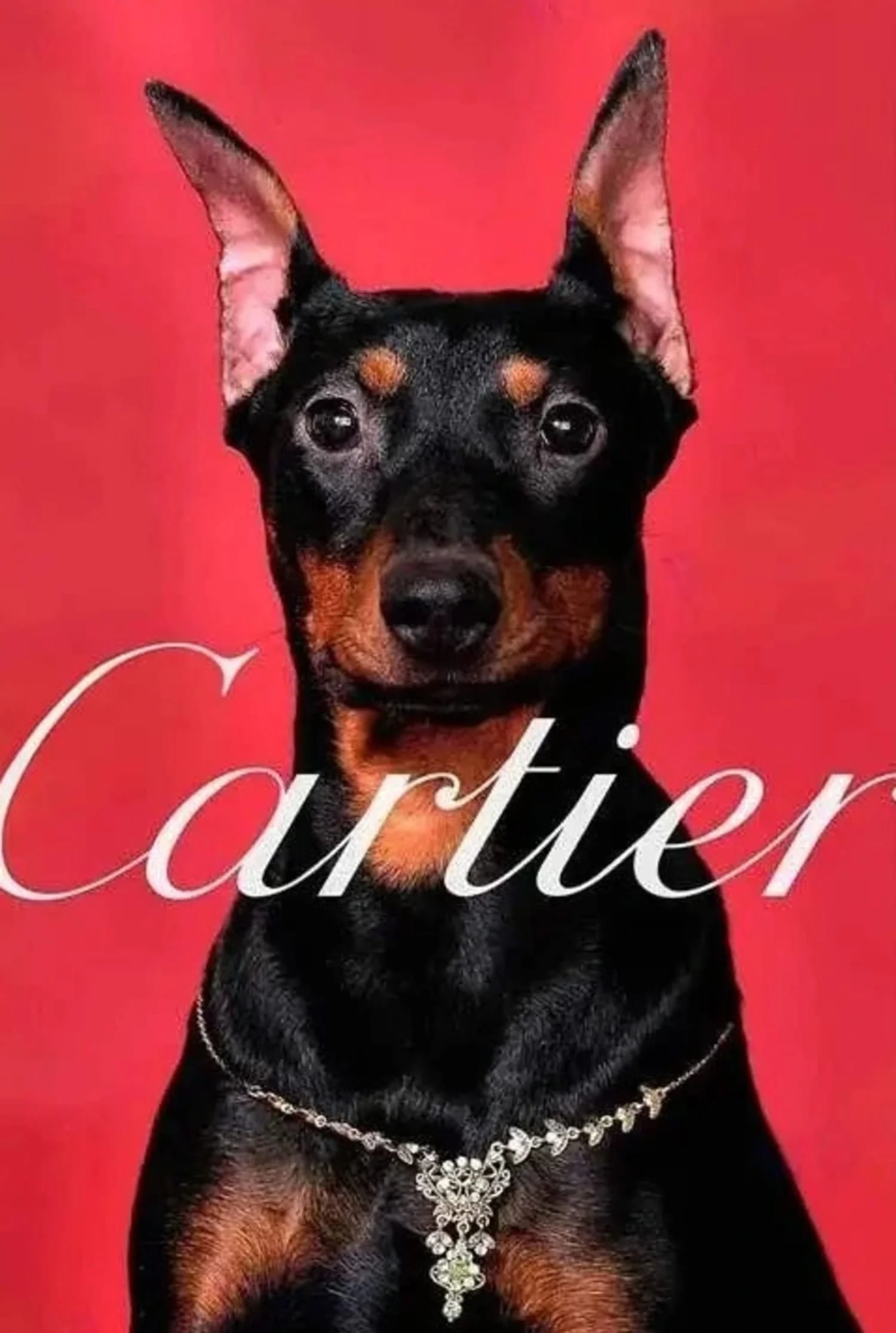 Cartier Dachshund | Red Silhouettes | Paris Fashion Tribute - Image 4