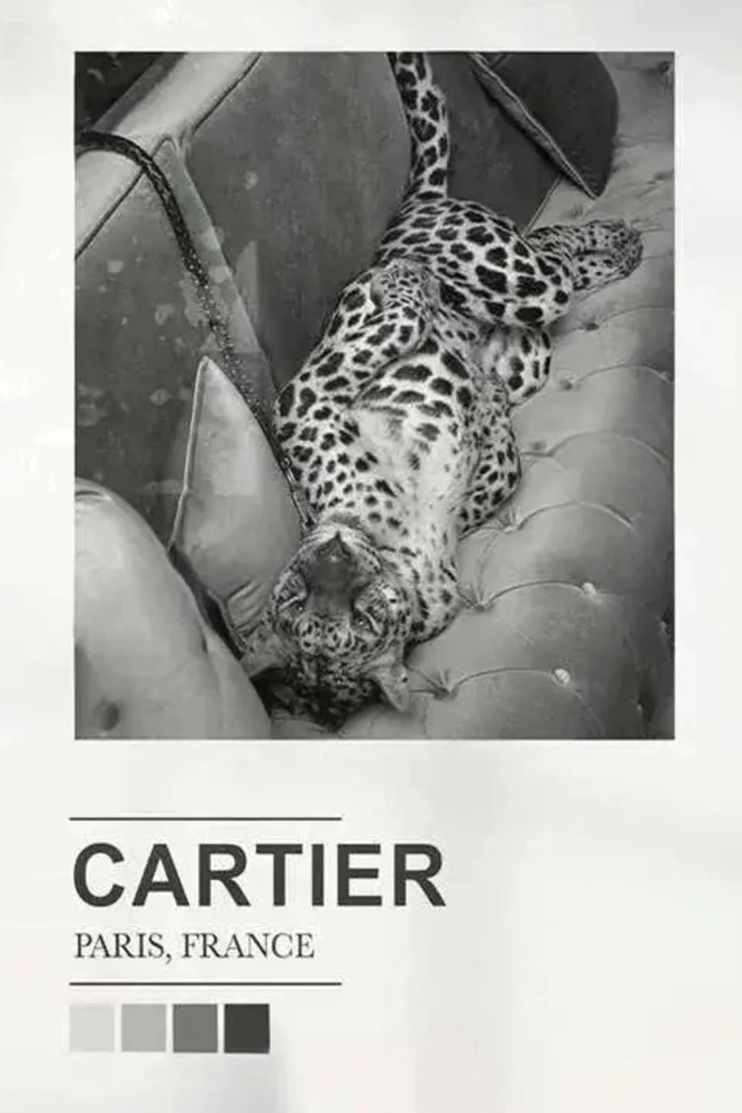 Cartier Expo | Paris Fashion Silhouettes - Image 4