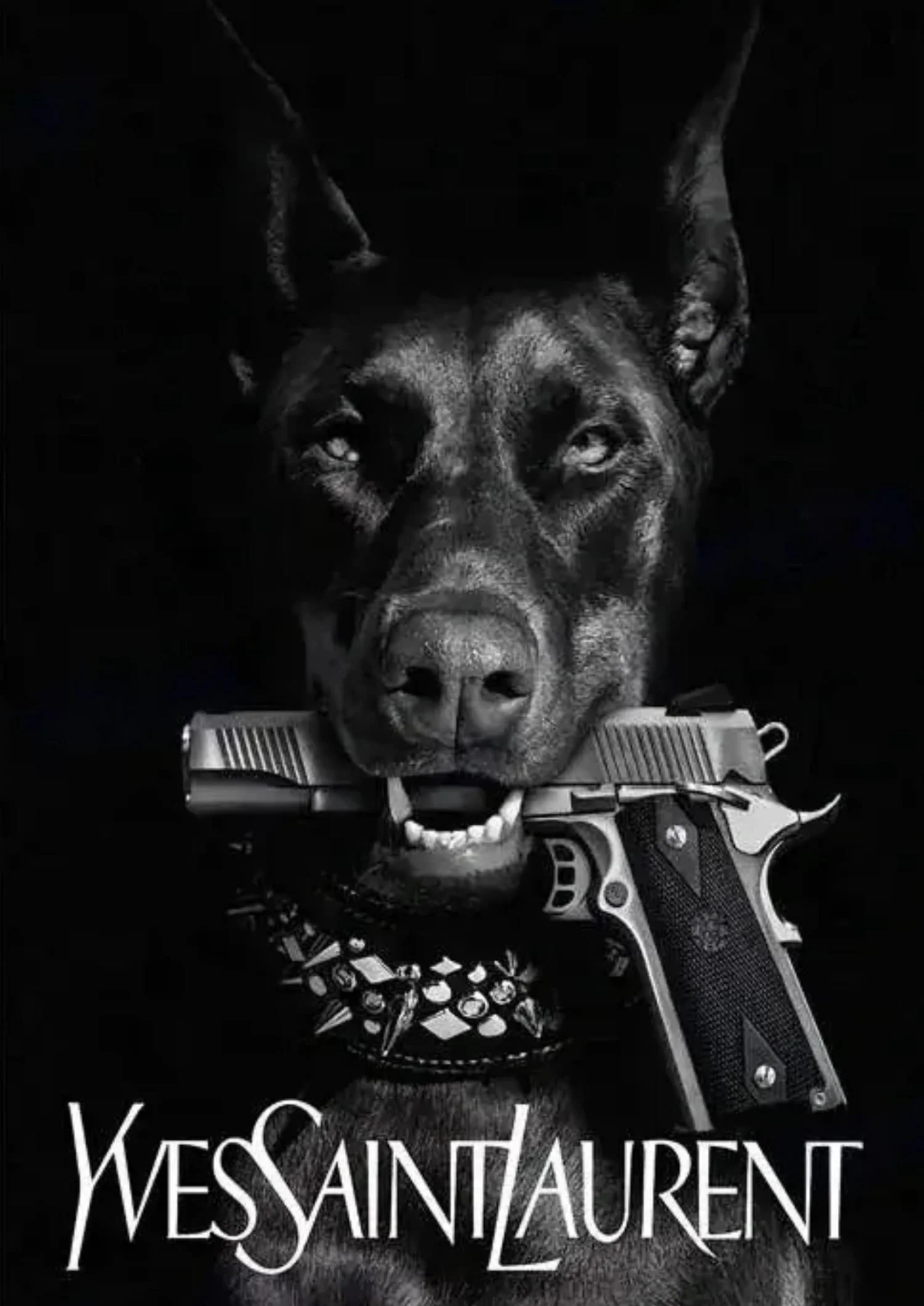 Yves Saint Laurent | Doberman & Paris Skyline - Image 4