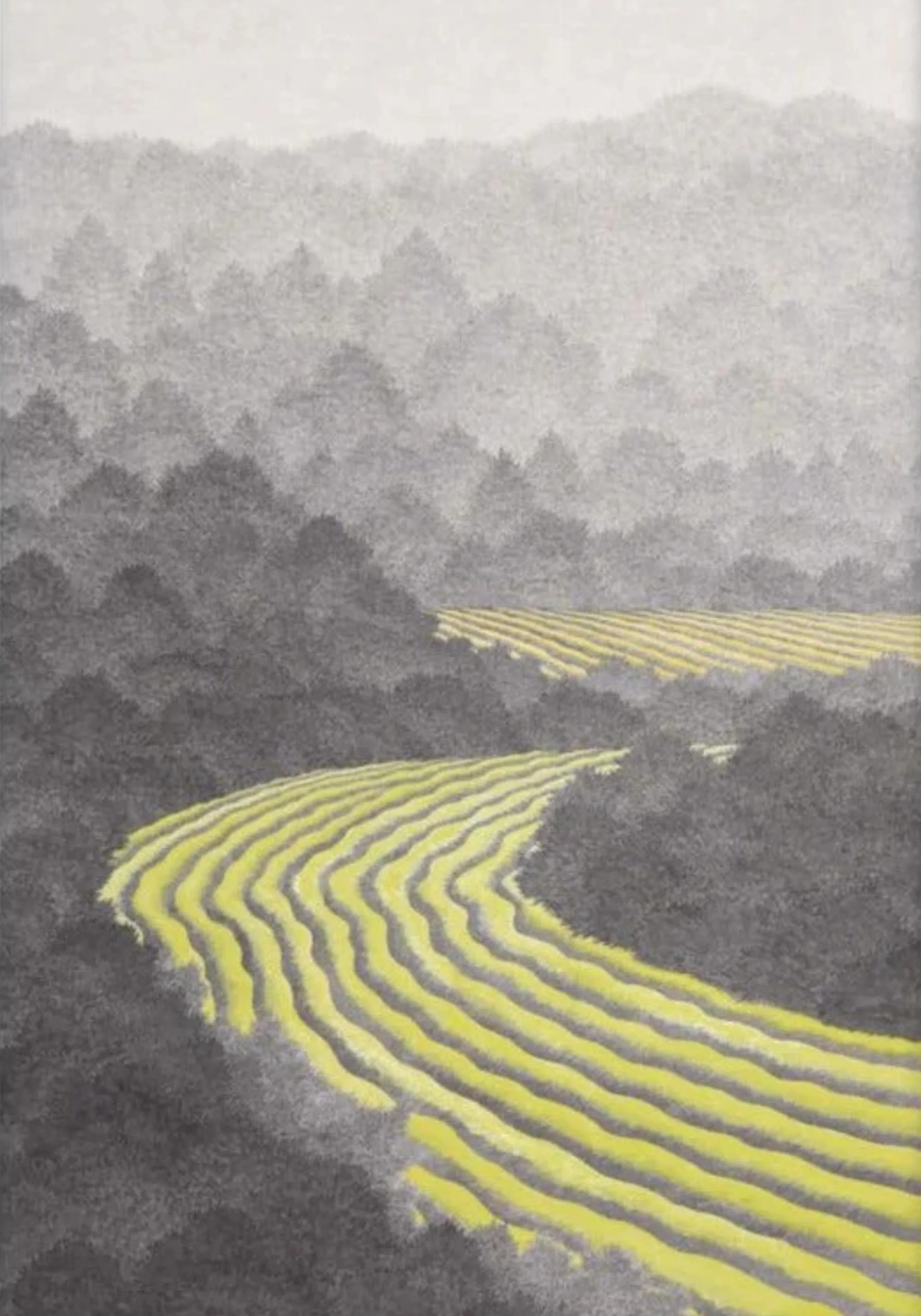 Felder 02 - Image 7
