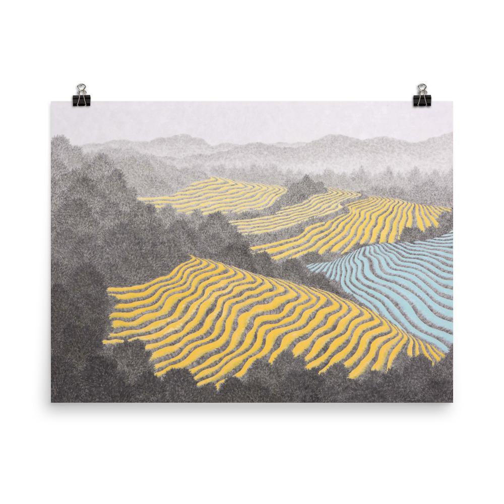 Felder 01 - Image 2