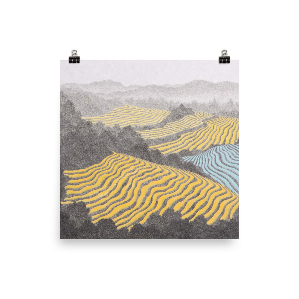 Felder 01 - Image 3