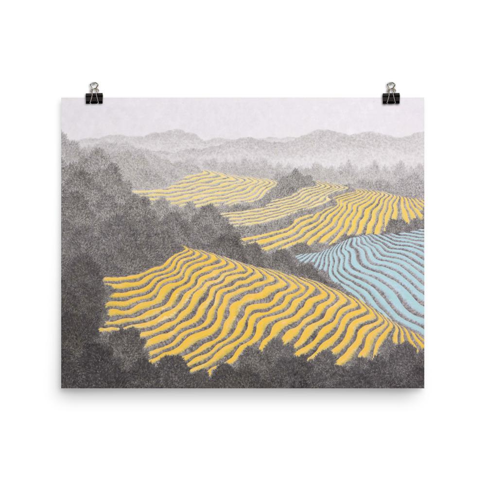 Felder 01 - Image 4