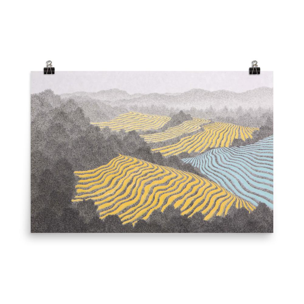 Felder 01 - Image 5