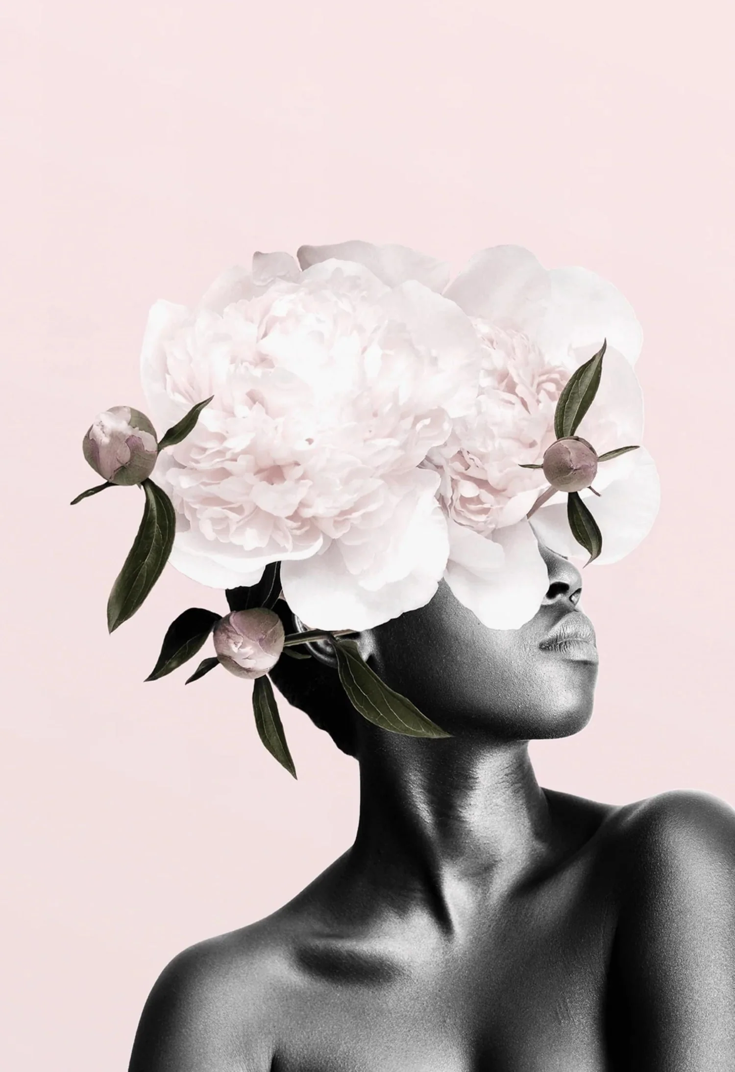 Floral Head | Pink Botanical - Image 4