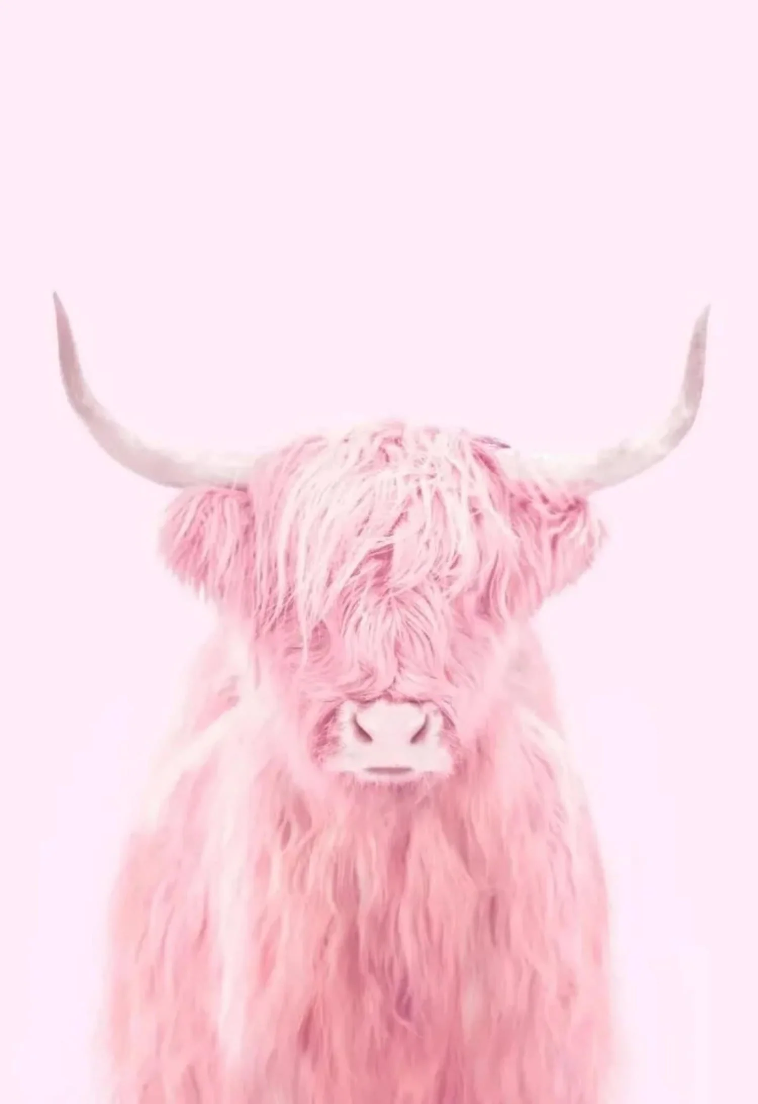 Pink Highland Cow | Fantastical Creatures Art - Image 4