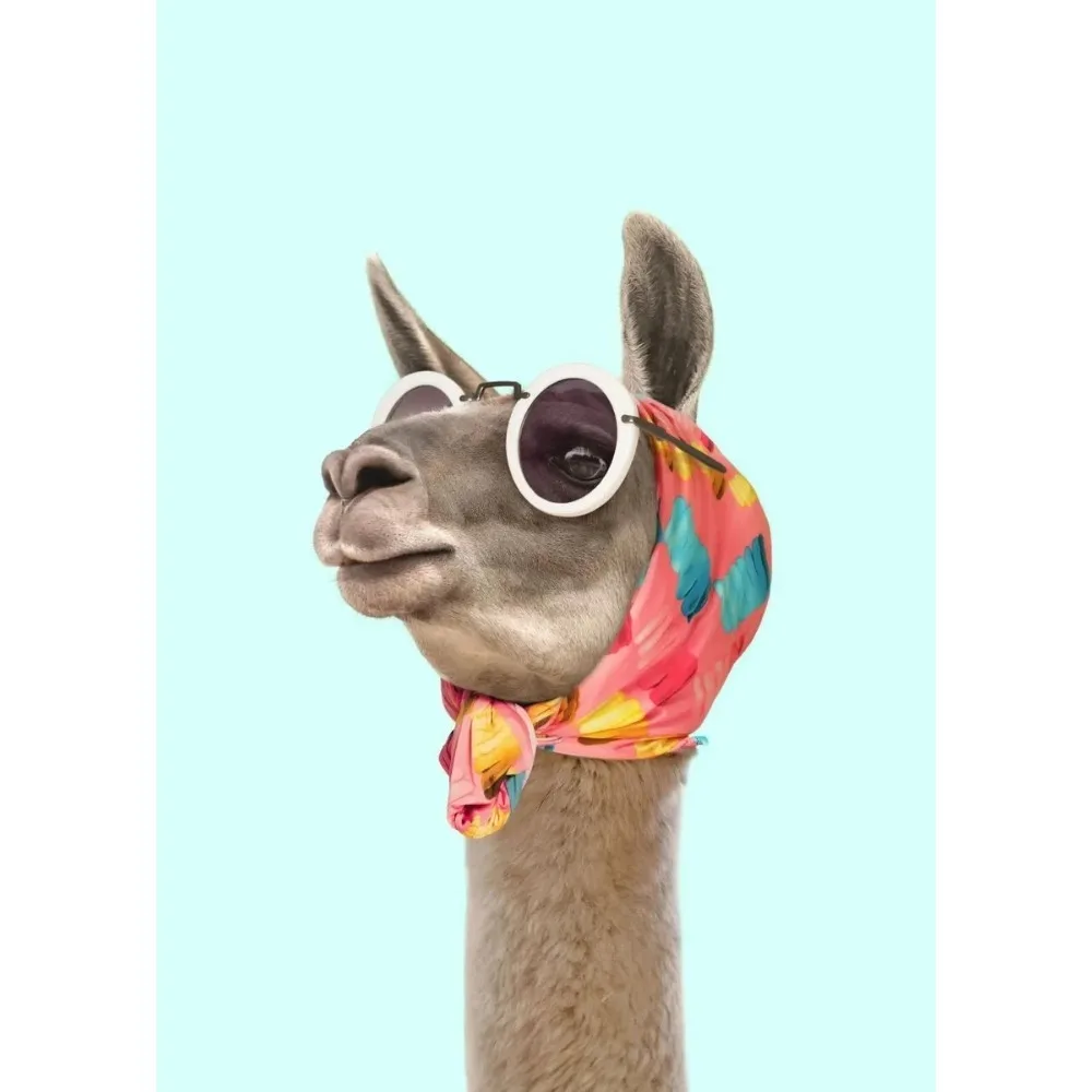 Sunning Alpaca | Fantastical Creatures Art