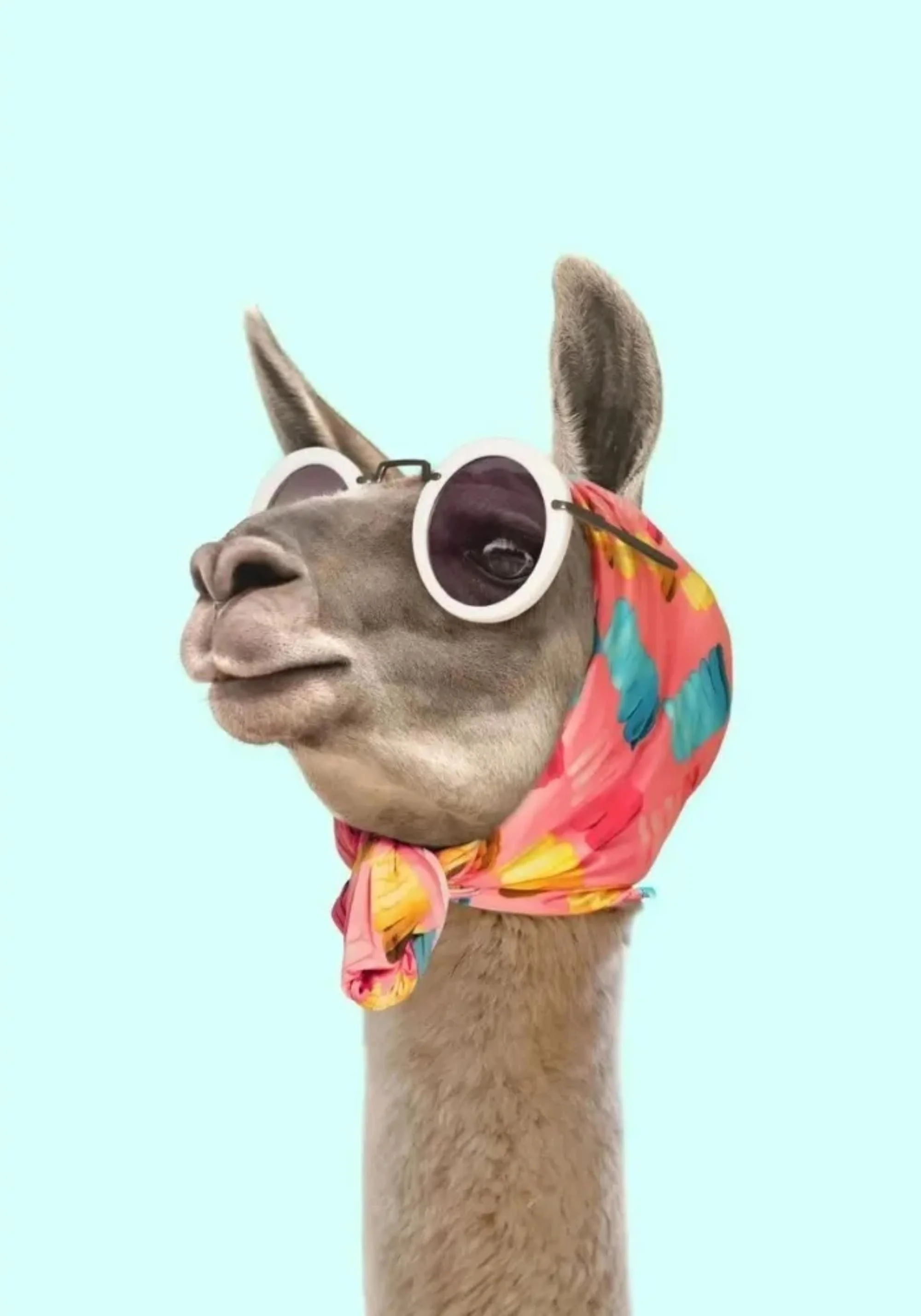 Sunning Alpaca | Fantastical Creatures Art - Image 2