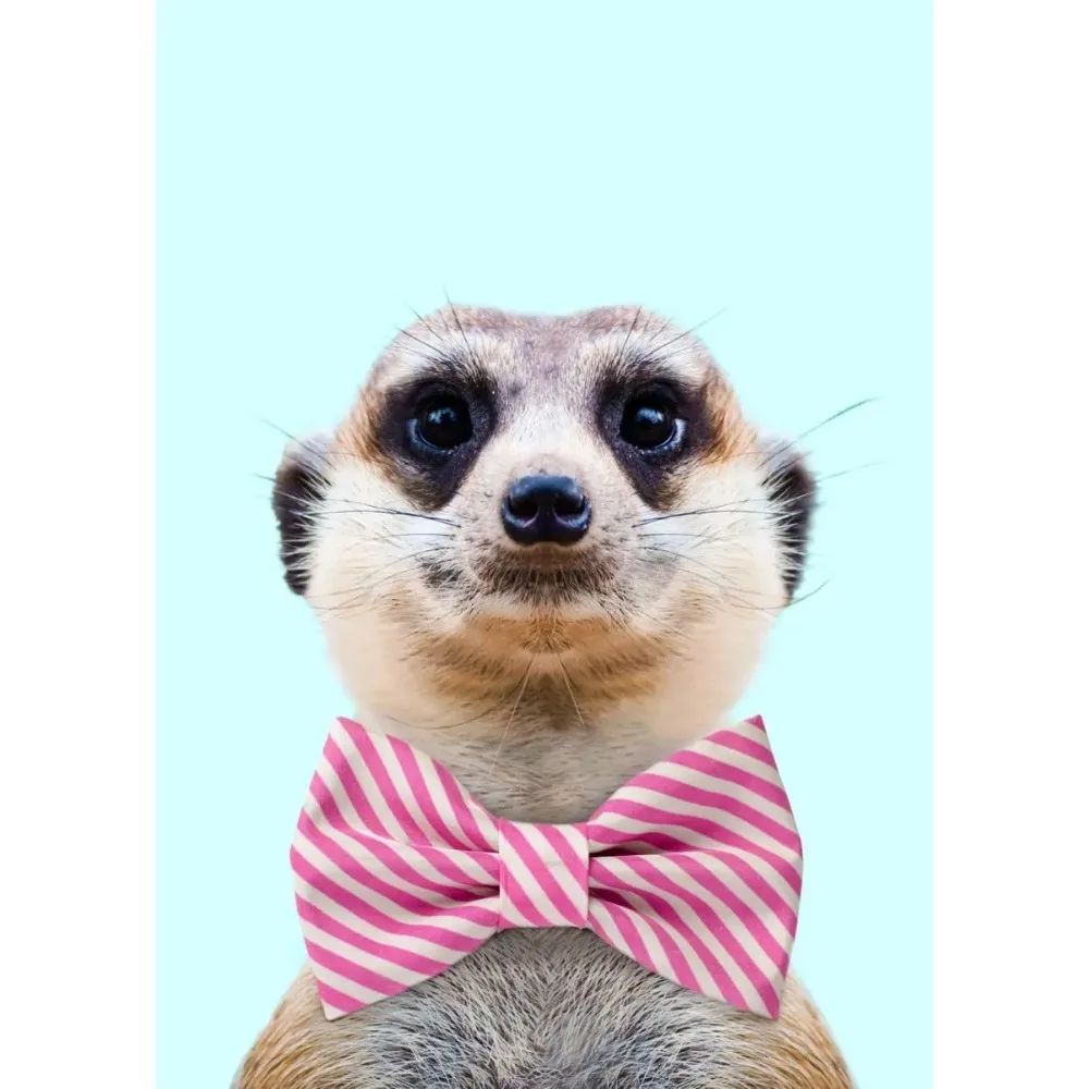 Fancy Meerkat & Ferret | Fantastical Creatures Art