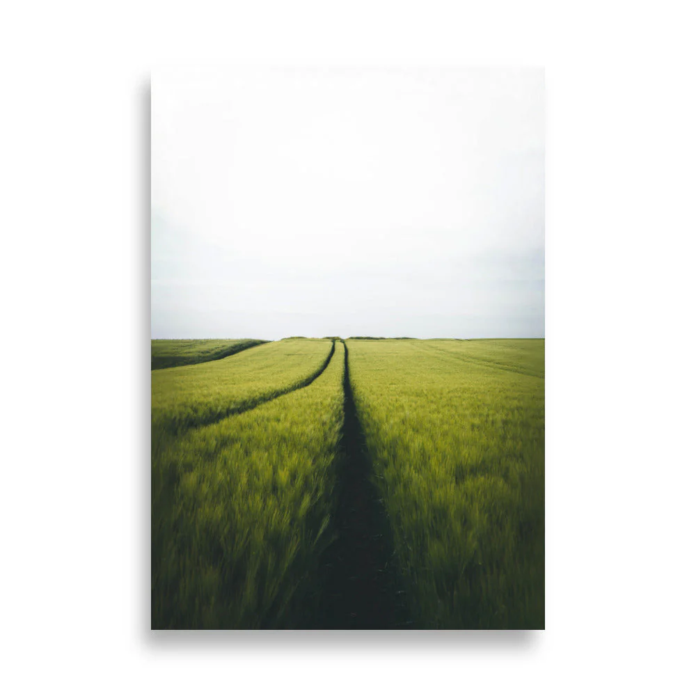 Gerstenfeld Barley Field - Image 4