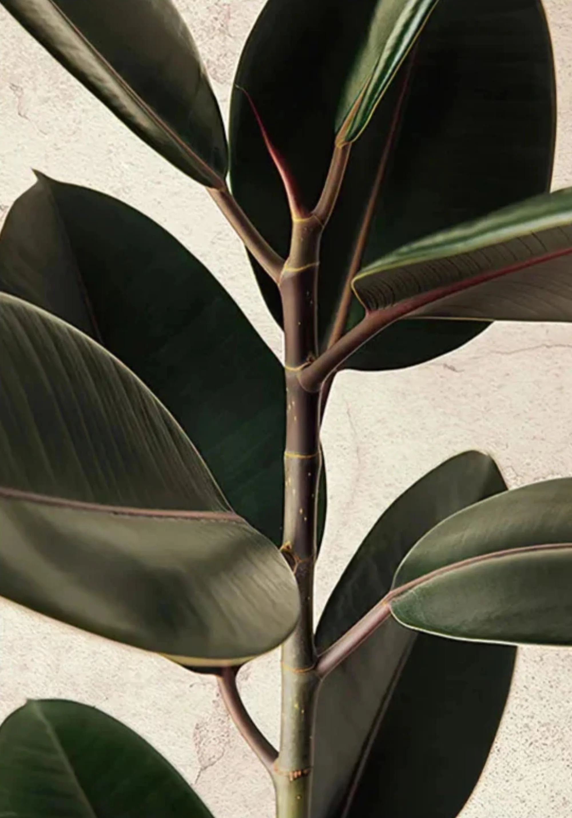 Leaves | Architectural Calm Art - Image 2