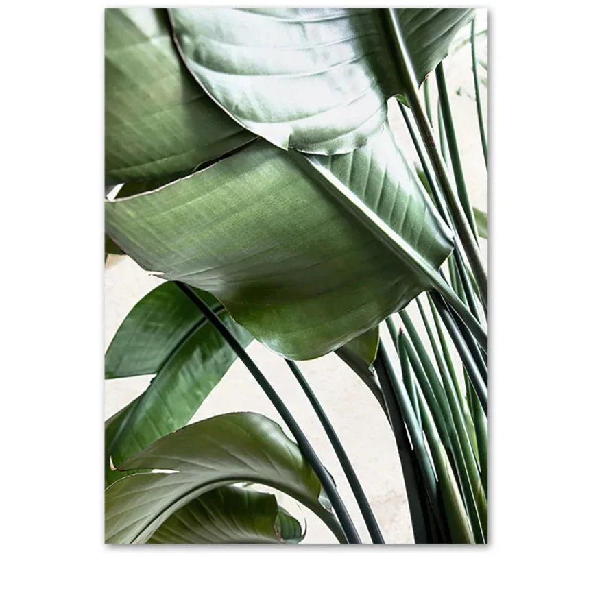Nature's Structure | Minimalist Botanical Design