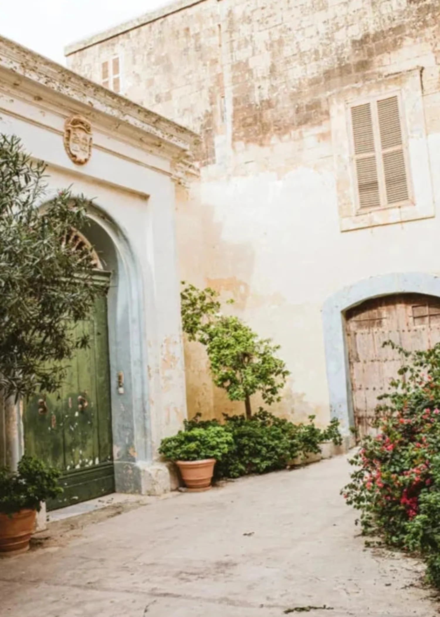 Arches & Leaves | Tranquil Architectural Design - Image 4