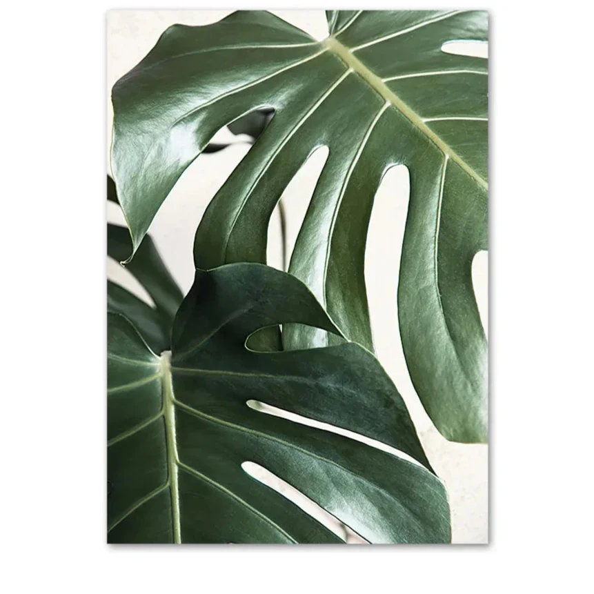 Leafy Reflections | Botanical | Green Foliage