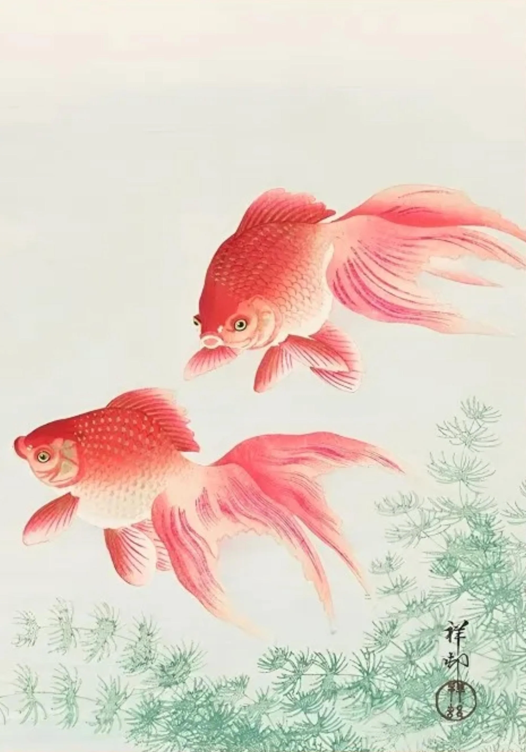 Hakusai Ohara | Two Veil Goldfish - Image 2
