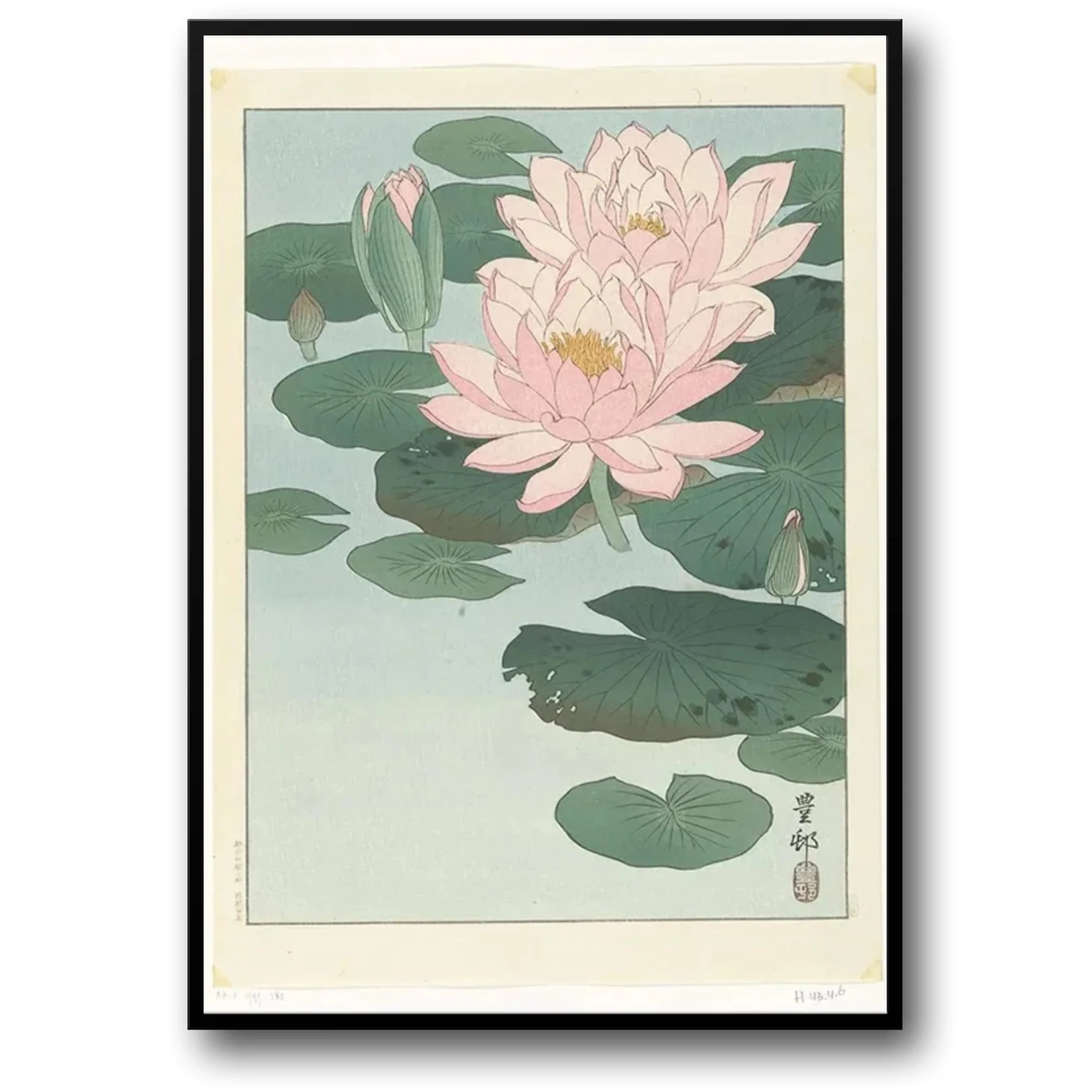 Ohara Koson | Lotus Blossoms | Ukiyo-e Art