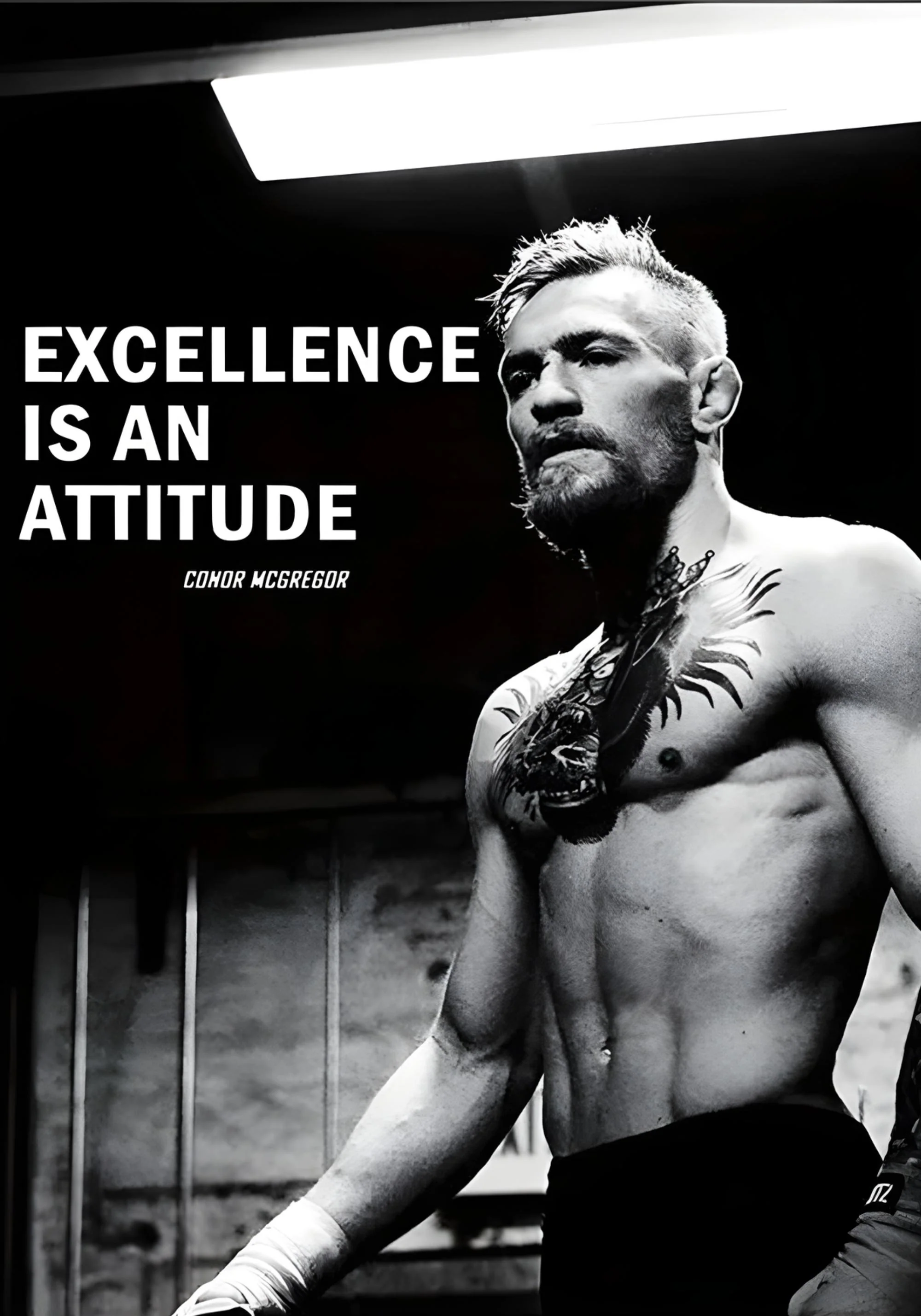 Conor McGregor | Inspirational Boxing | UFC Motivation - Image 2