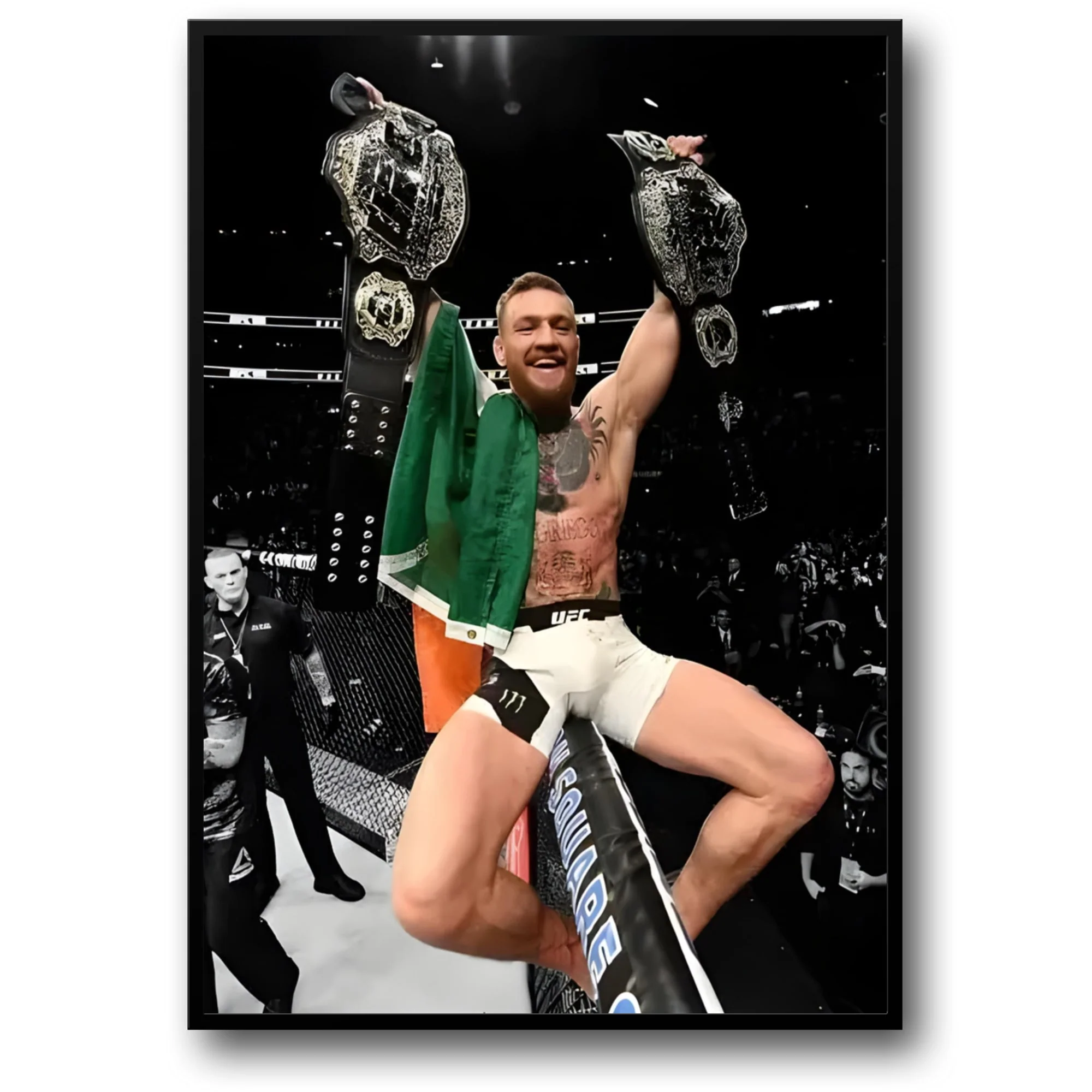 Conor McGregor | UFC Dual Belt Victory | Boxing Art