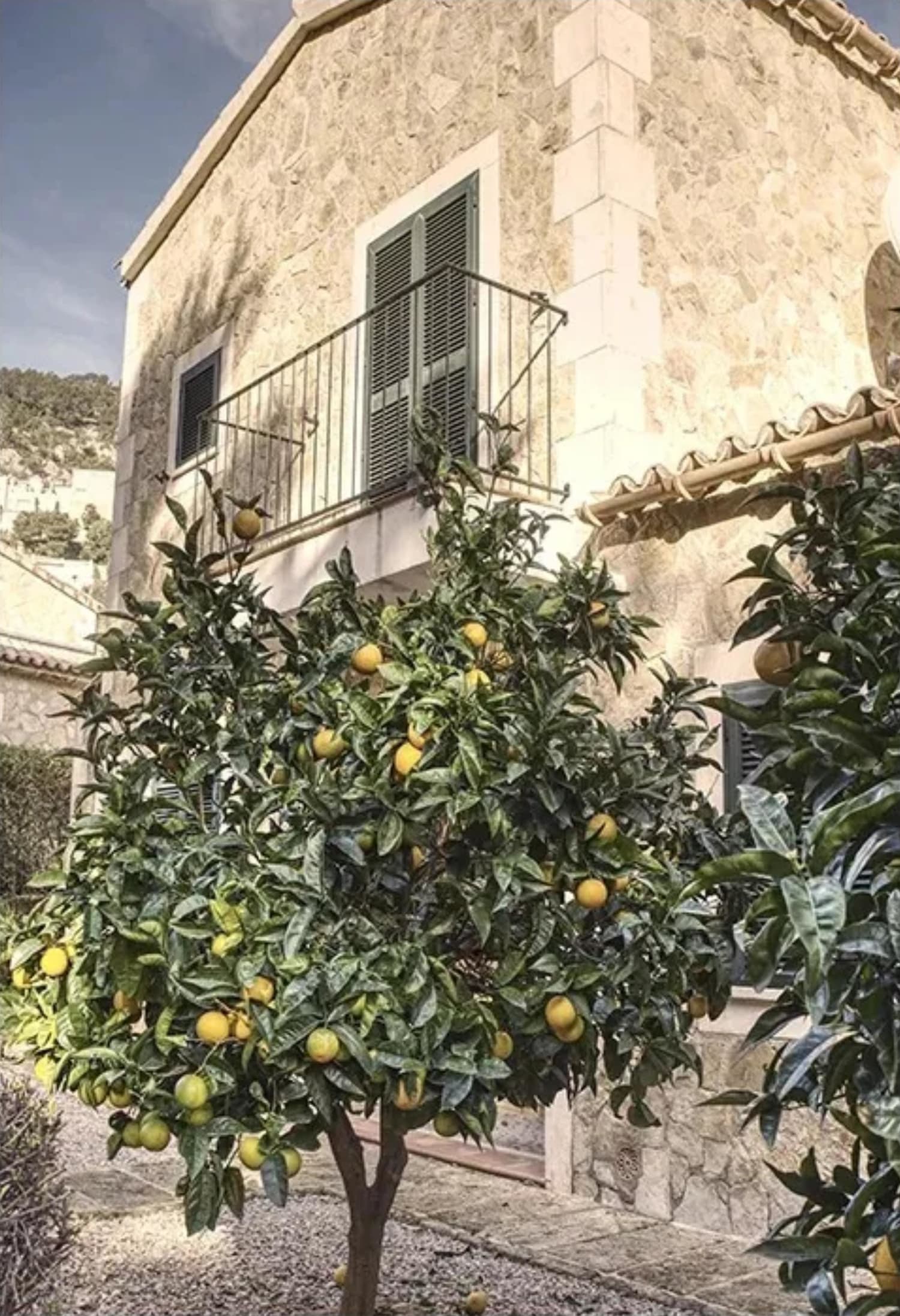 Italian Town Lemon Tree Landscape | Vibrant Decor - Image 4