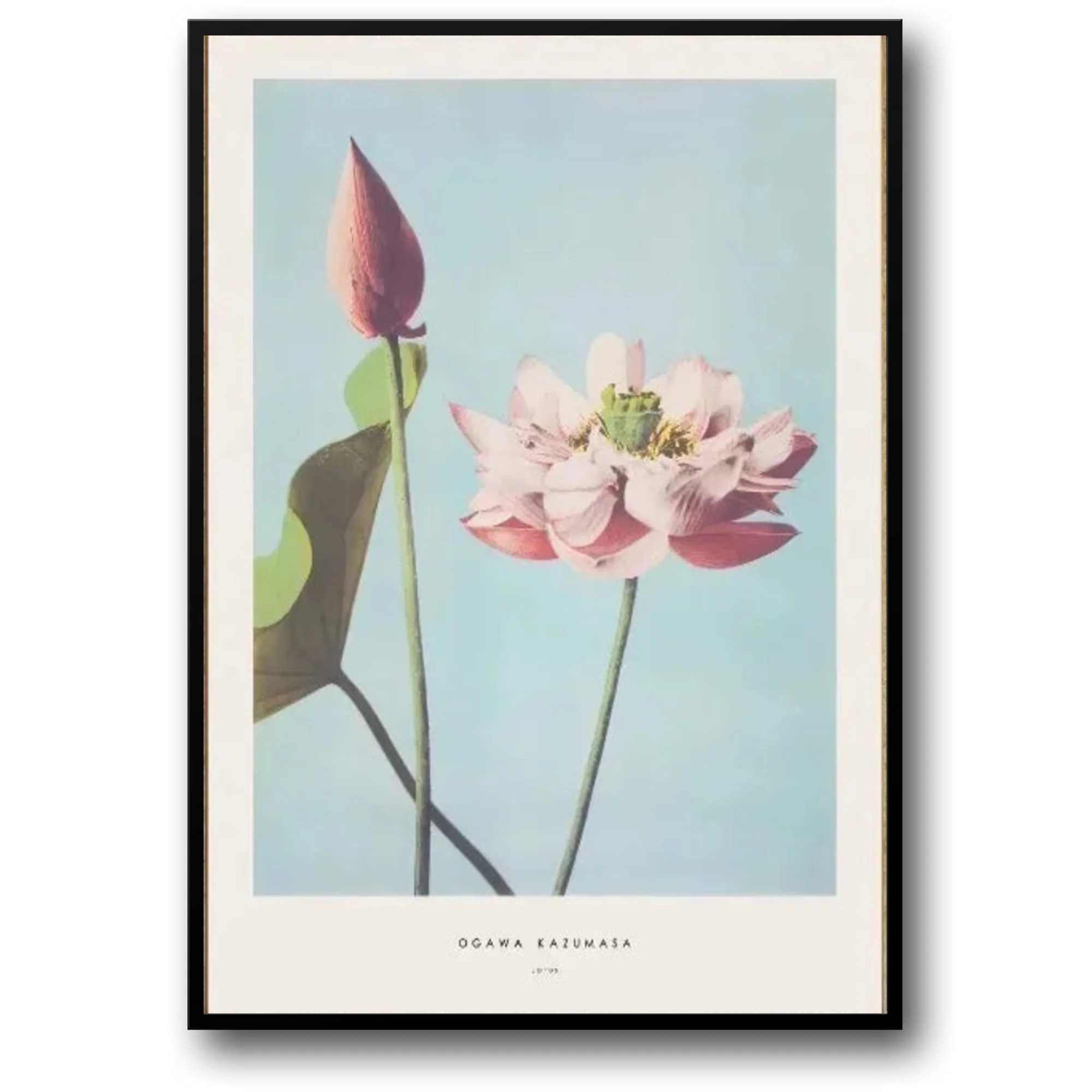 Ogawa Kazumasa | Peony Ukiyo-e Art