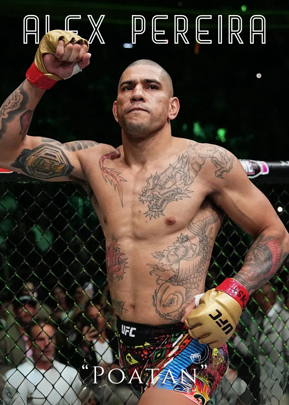 Alex Pereira 'Poatan' UFC Champion - Image 2