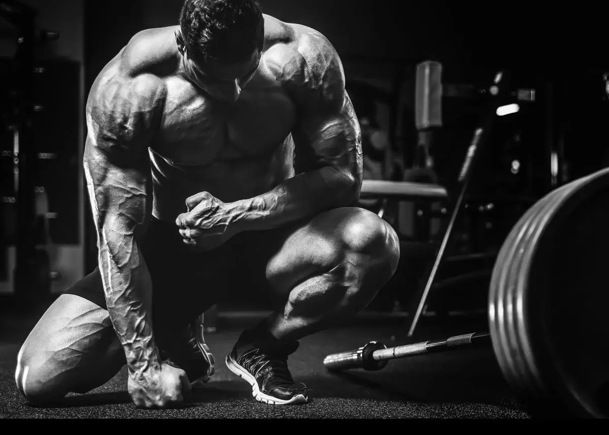 Bodybuilding | Motivational Fitness Quote | Resilience in Motion