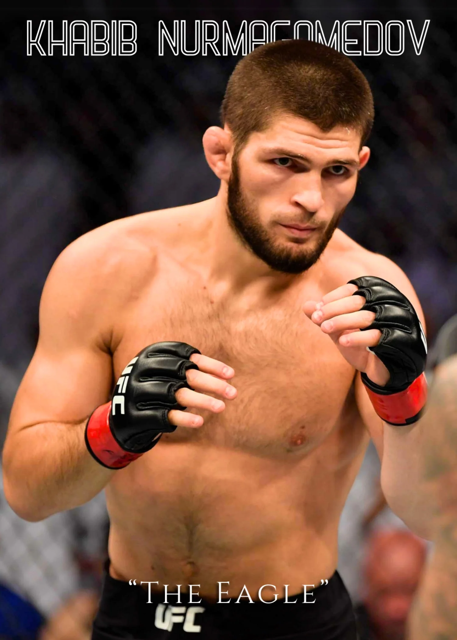Khabib Nurmagomedov | UFC The Eagle Champion - Image 4