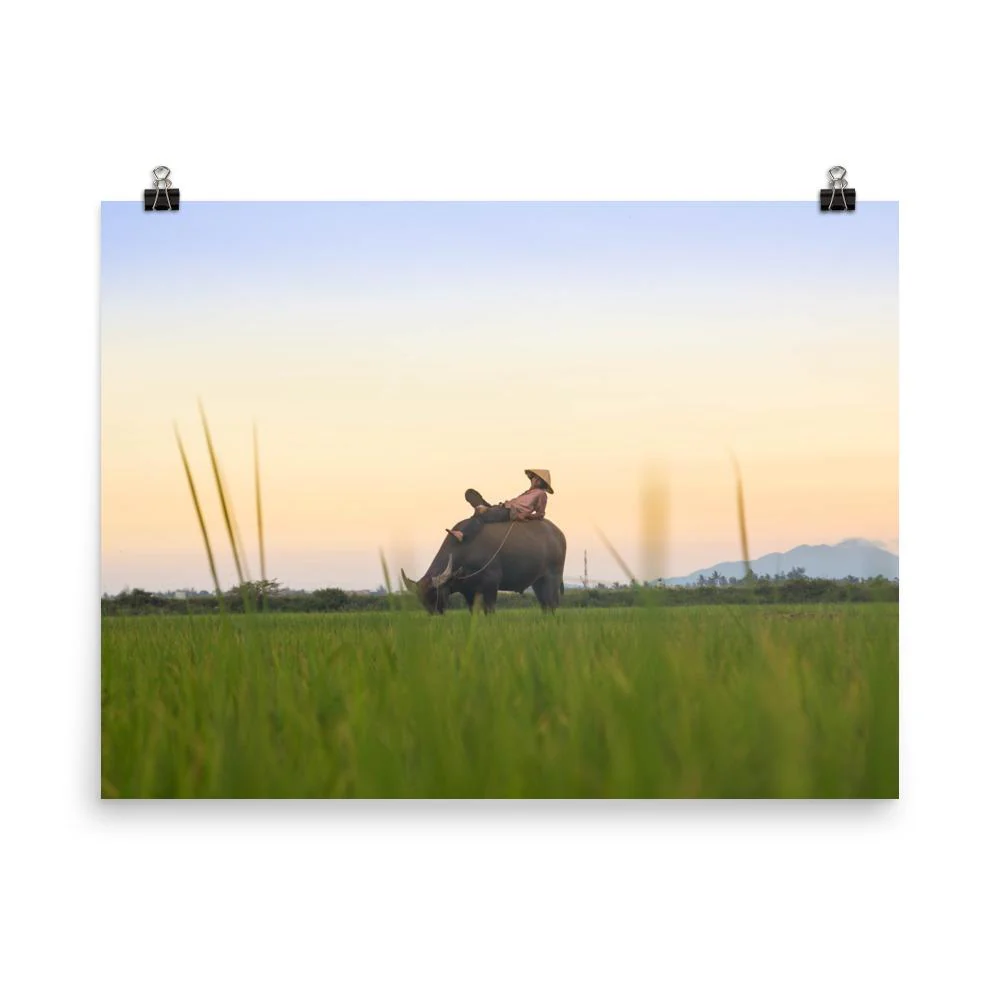Peaceful Evening Artwork - Image 3