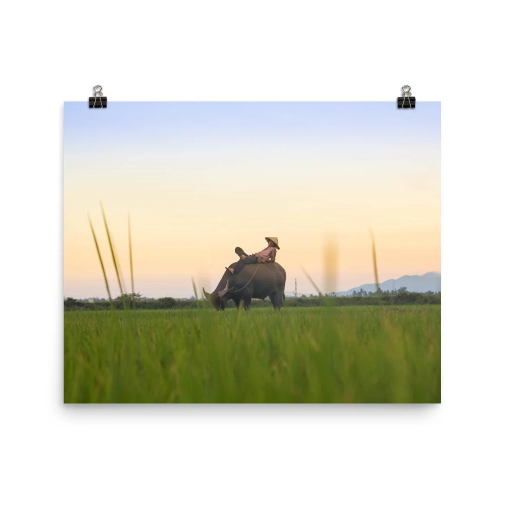 Peaceful Evening Artwork - Image 4