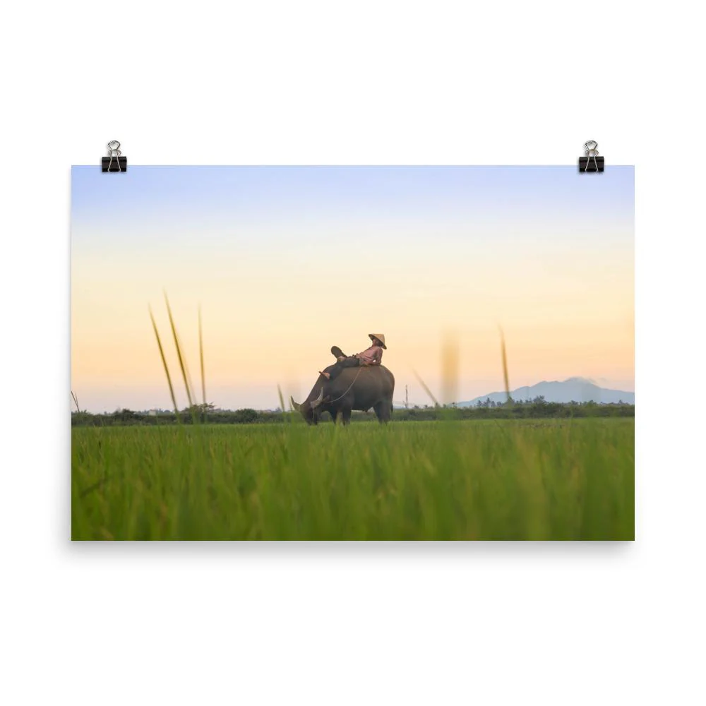 Peaceful Evening Artwork - Image 5