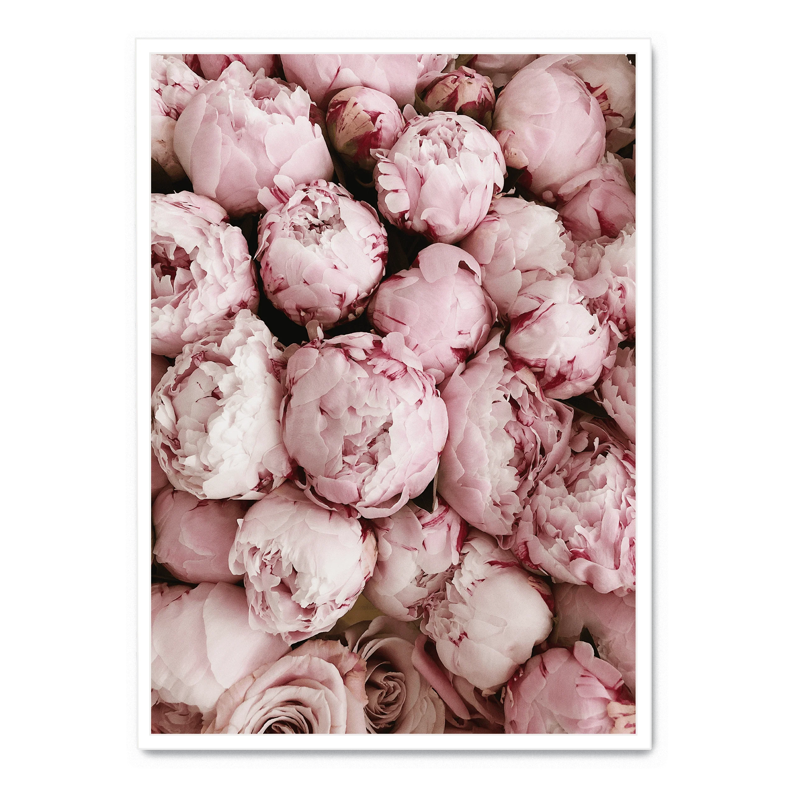 Pink Rose Blooms | Romantic Floral Print - Image 2