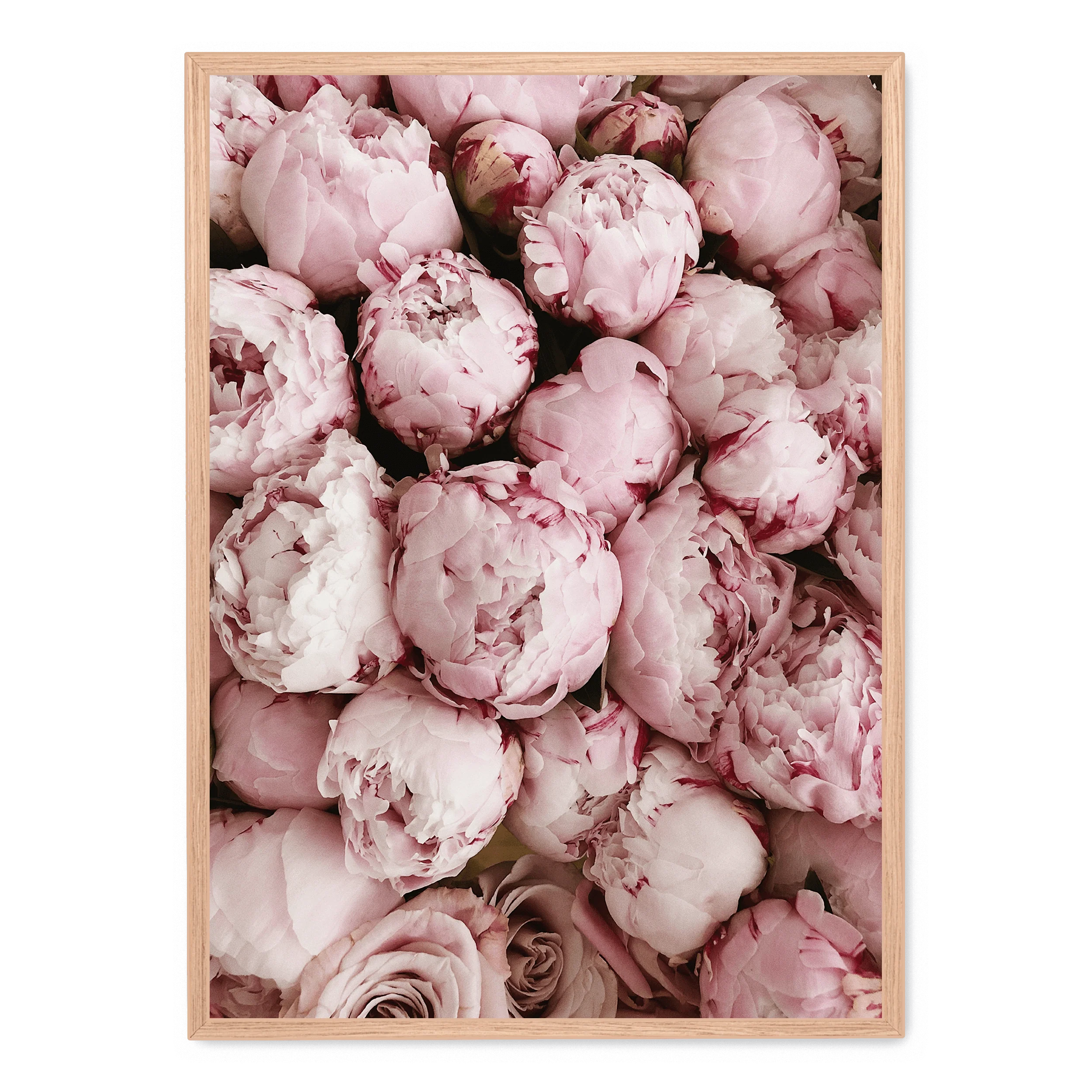Pink Rose Blooms | Romantic Floral Print - Image 3