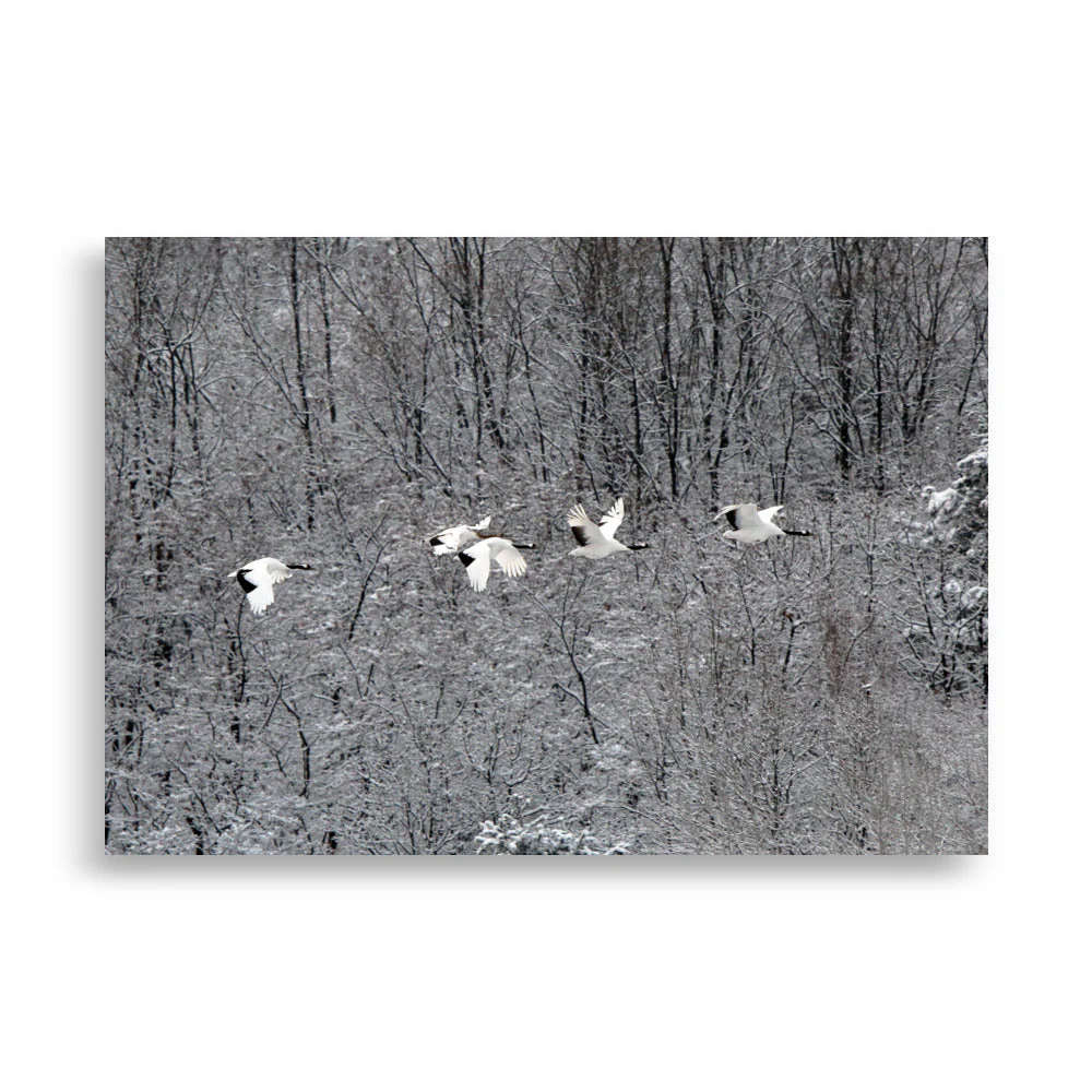 Flying Crane Family - Image 2